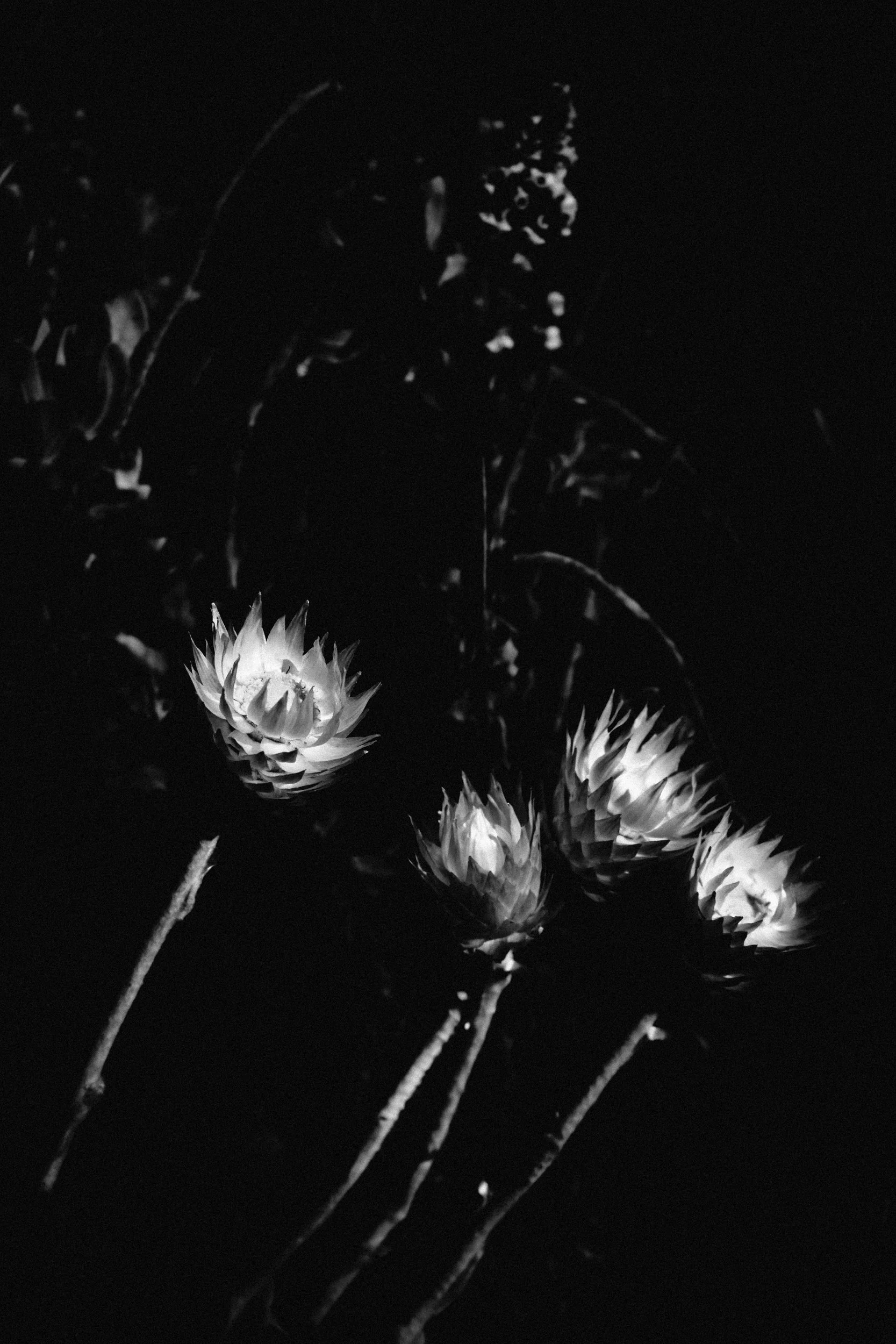 BRP0065
