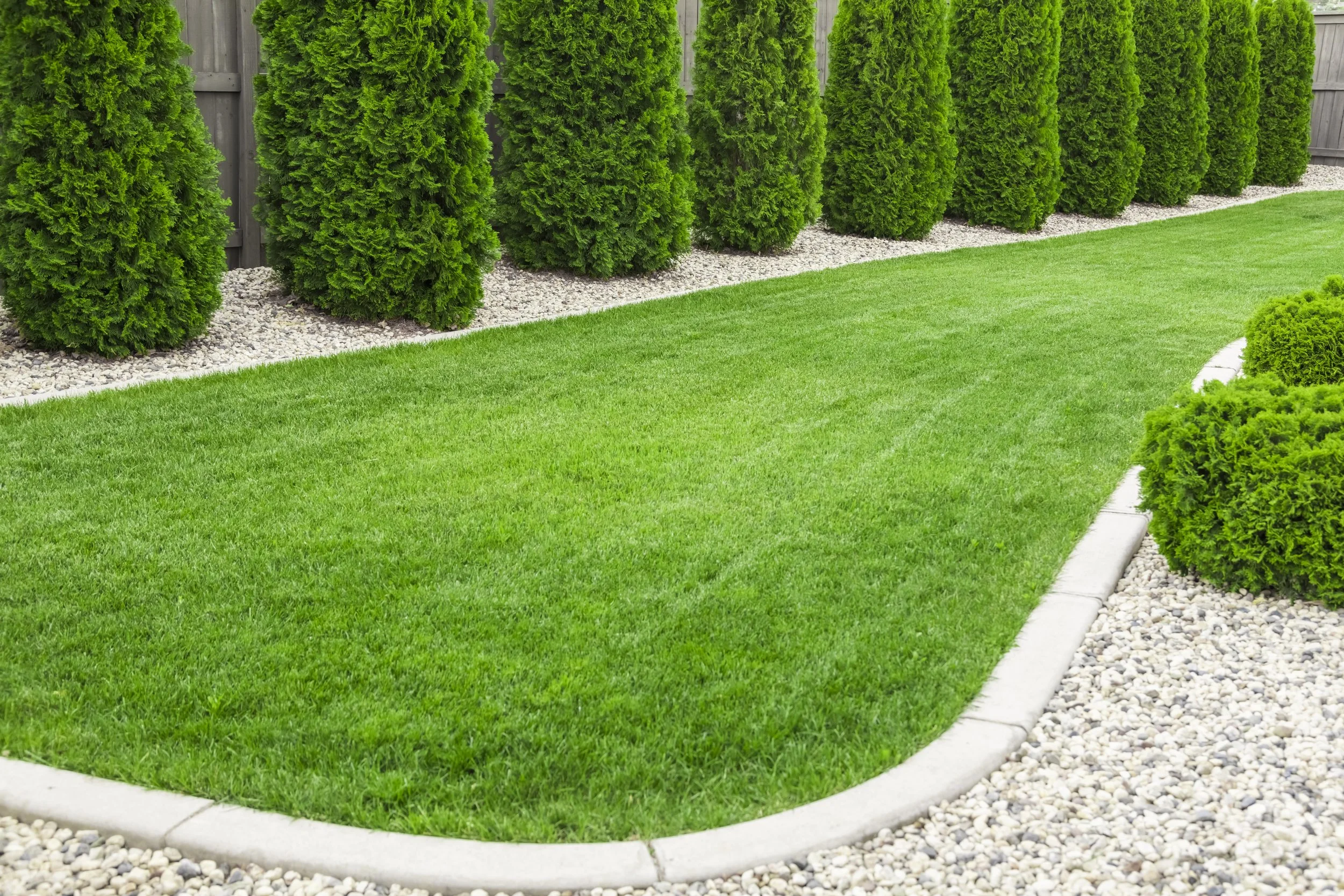 Freshly mowed lawn as part of professional landscape maintenance