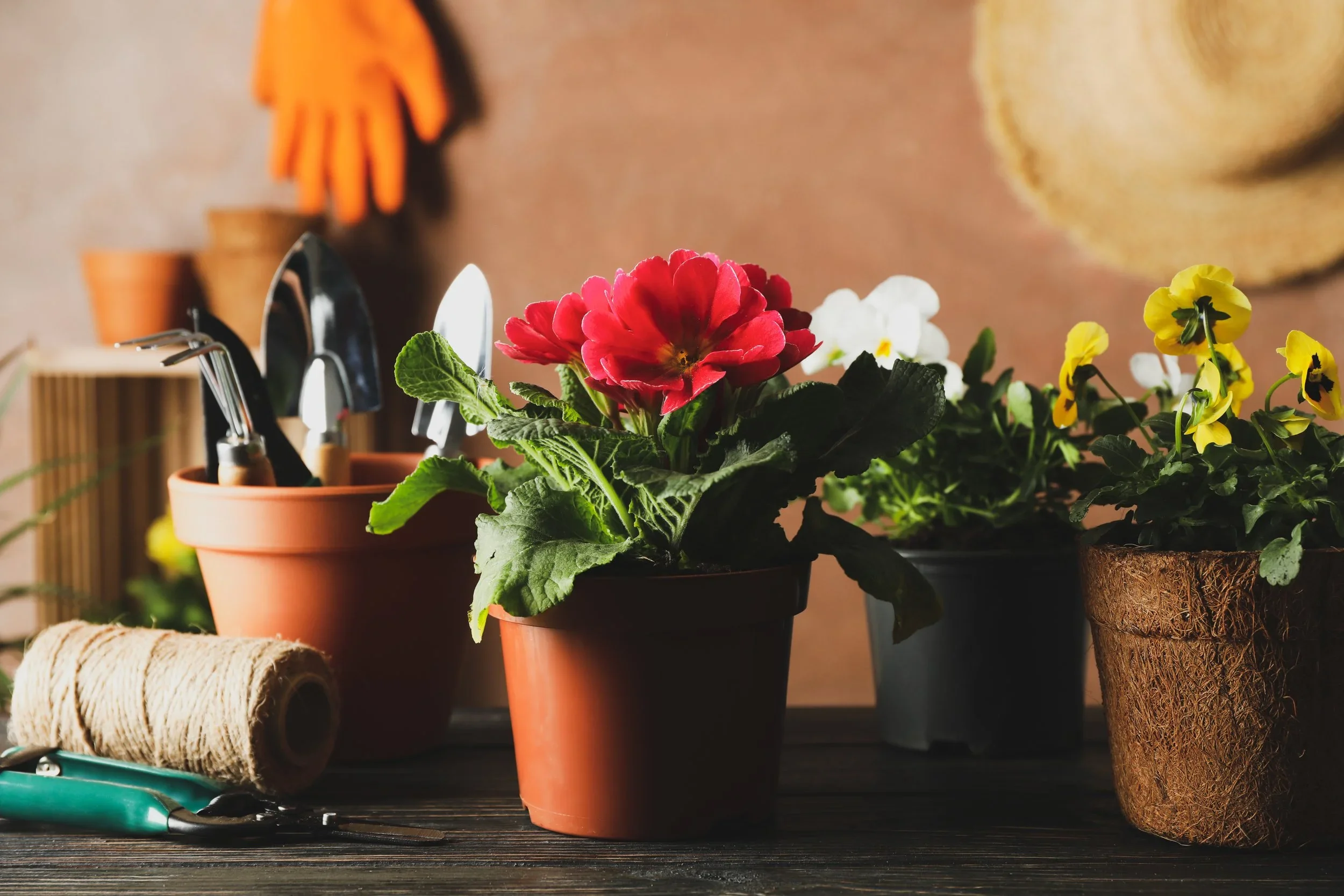 Spring Home Maintenance Checklist