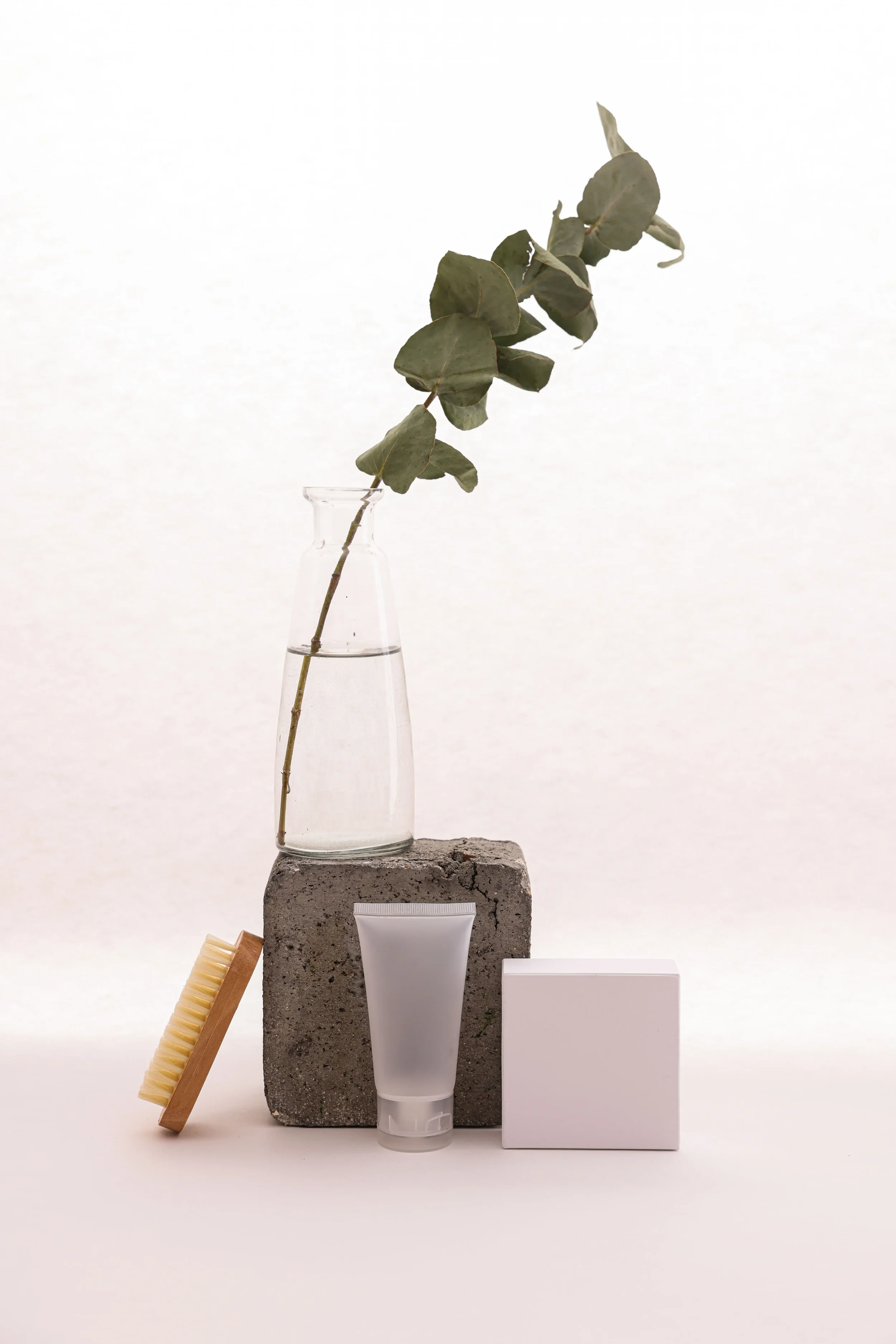 botanical extracts for cosmetics