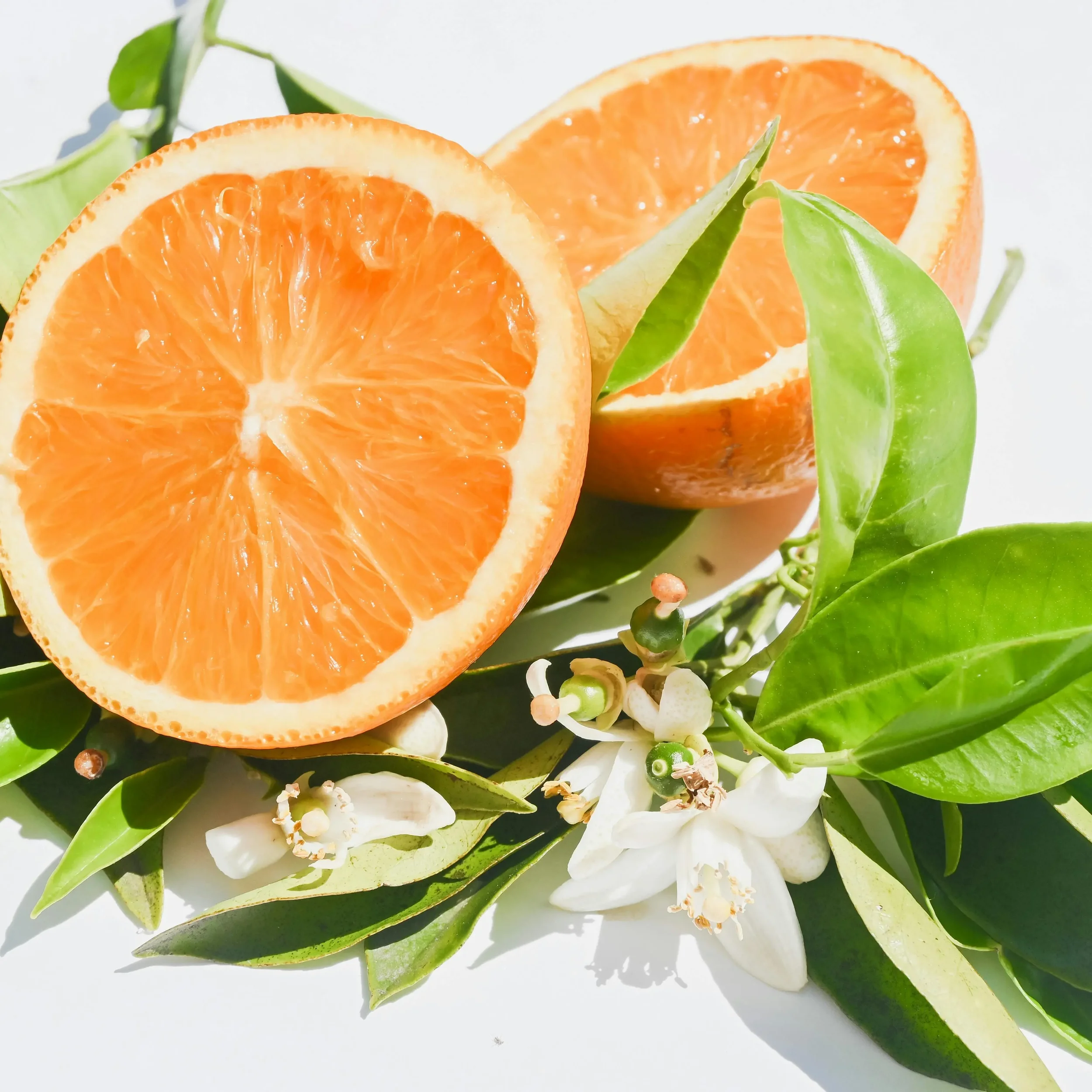 Aromatic Extracts Fragrance Free Scented Ingredient