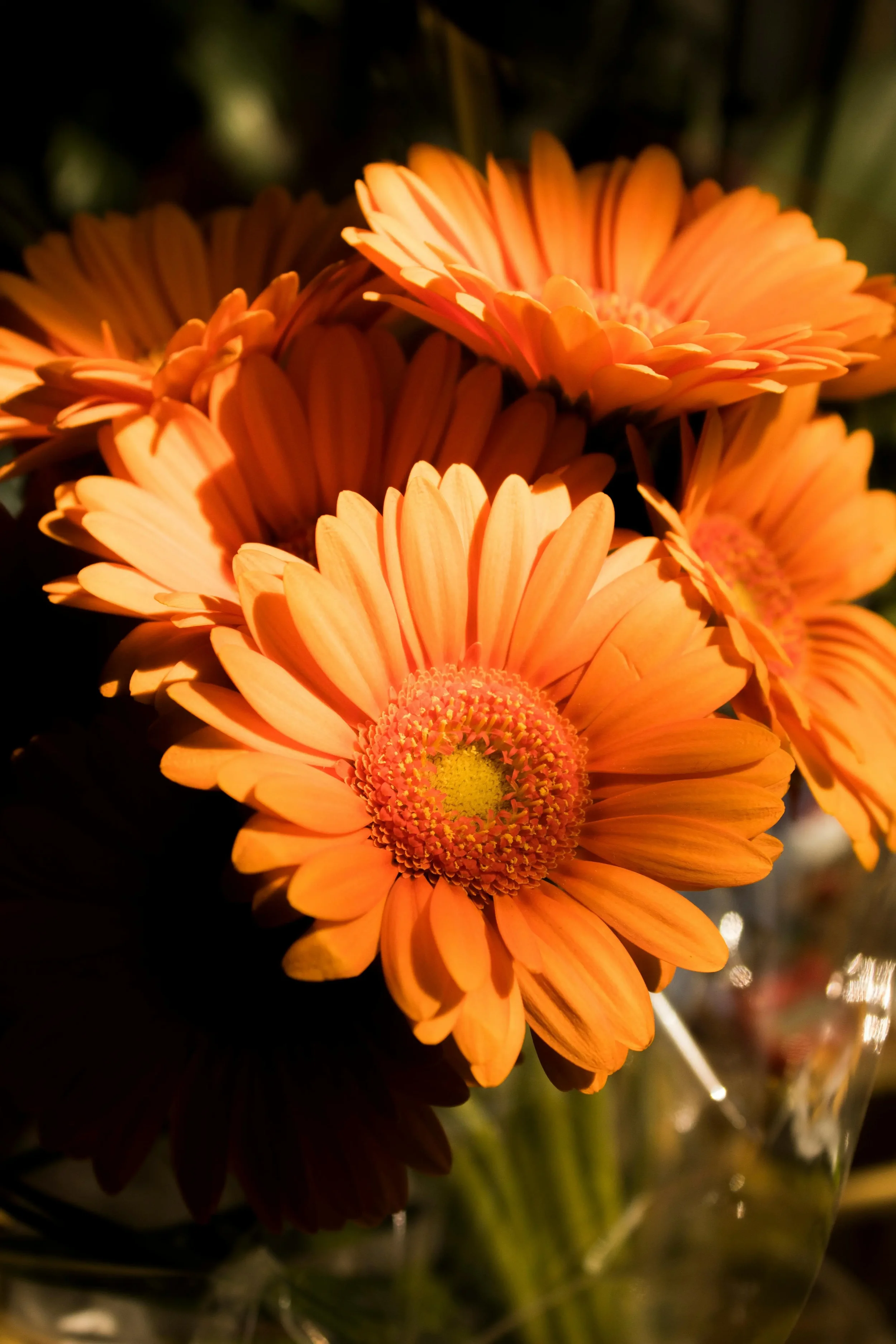 Fragrance Free Scented Extracts