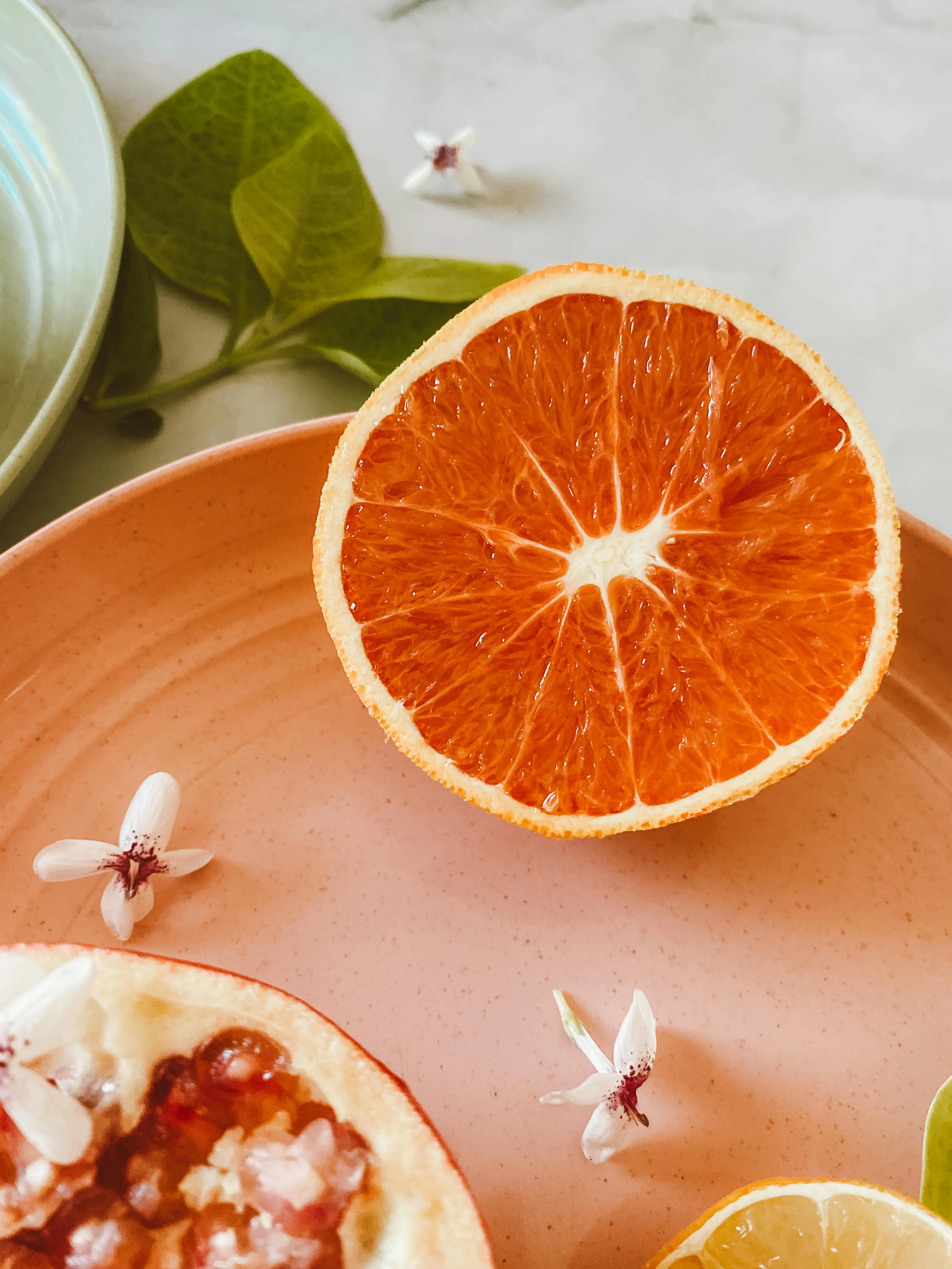 Fragrance Free Scented Ingredients