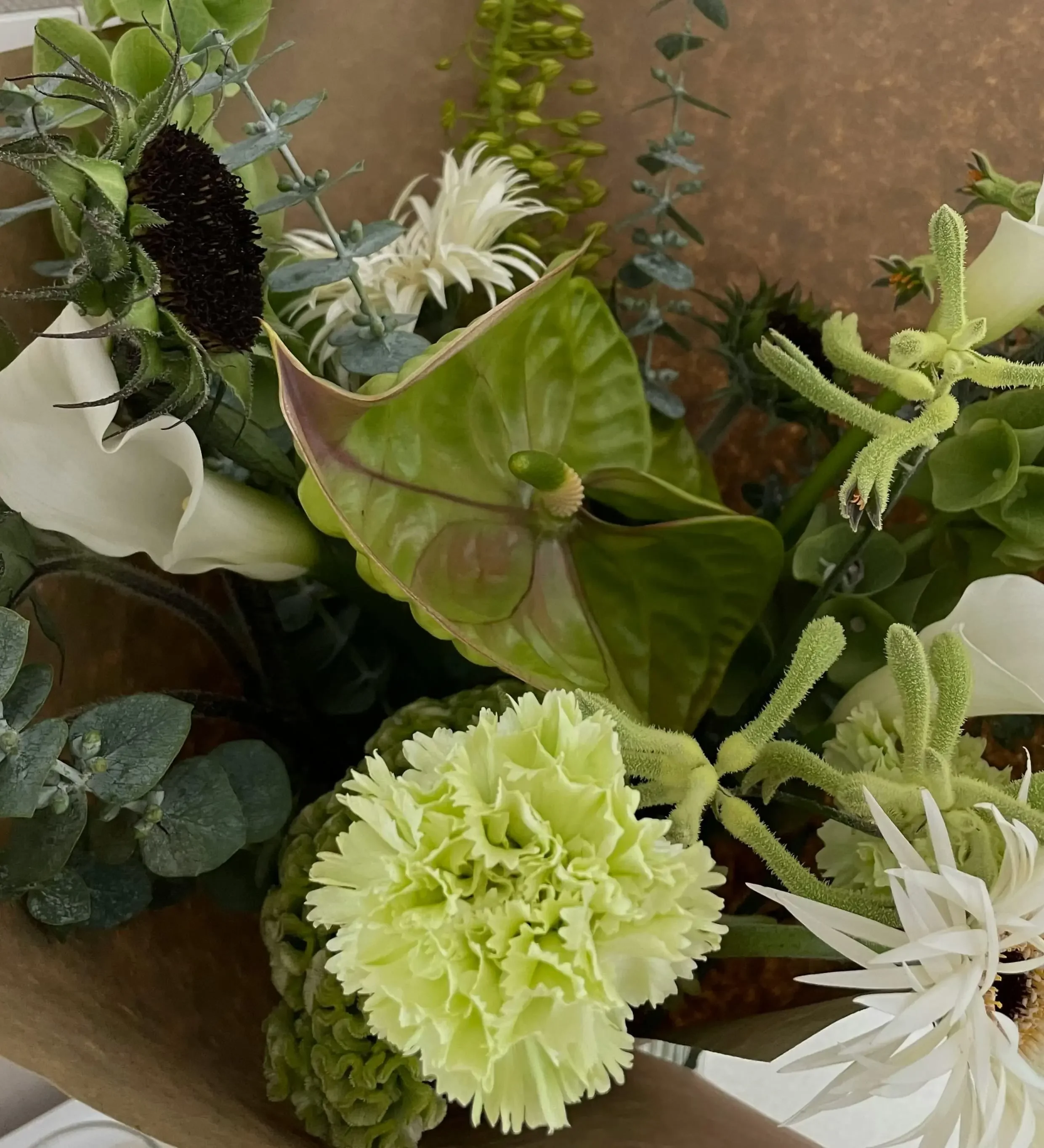Botanical Extracts Manufacturer USA