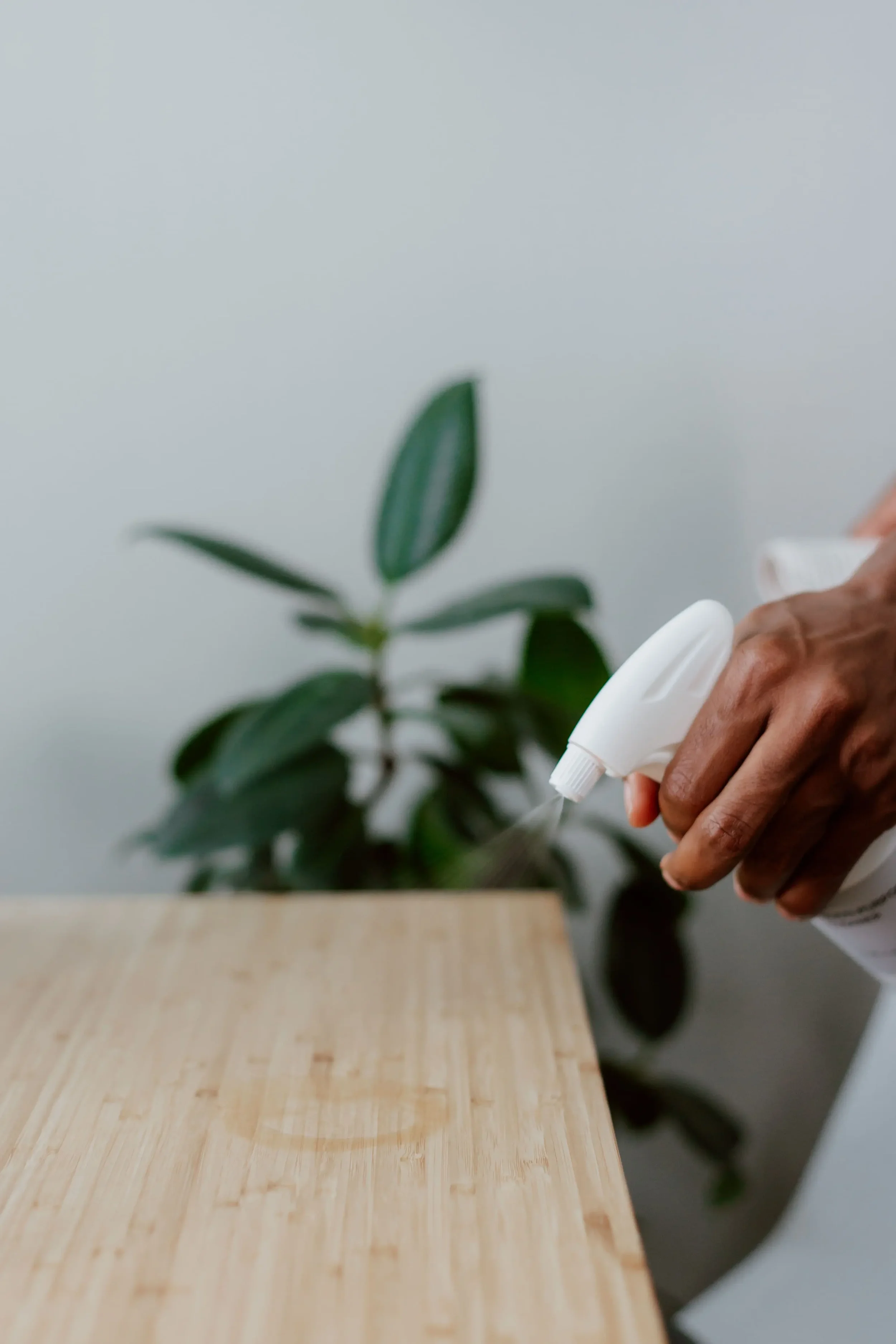 Fragrance Free Household Product Ingredient