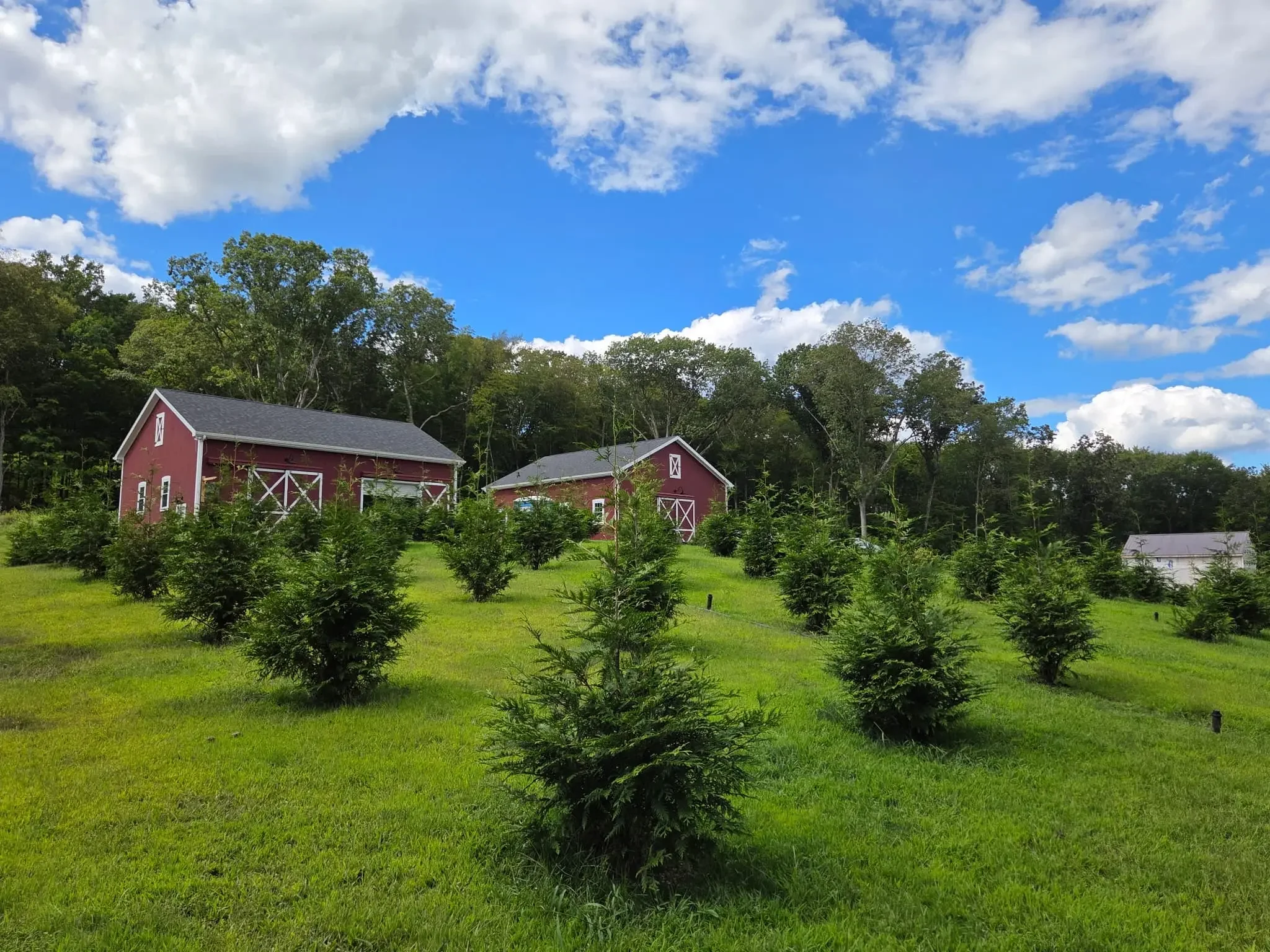 Farm Grown Botanical Extracts