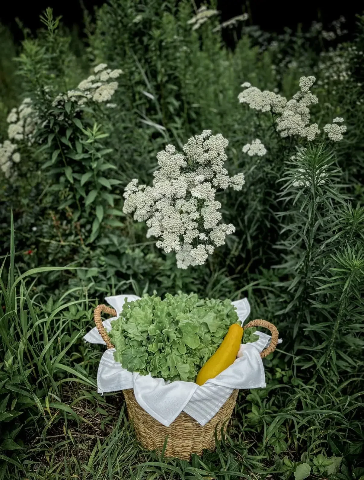 Farm Grown Botanical Extracts