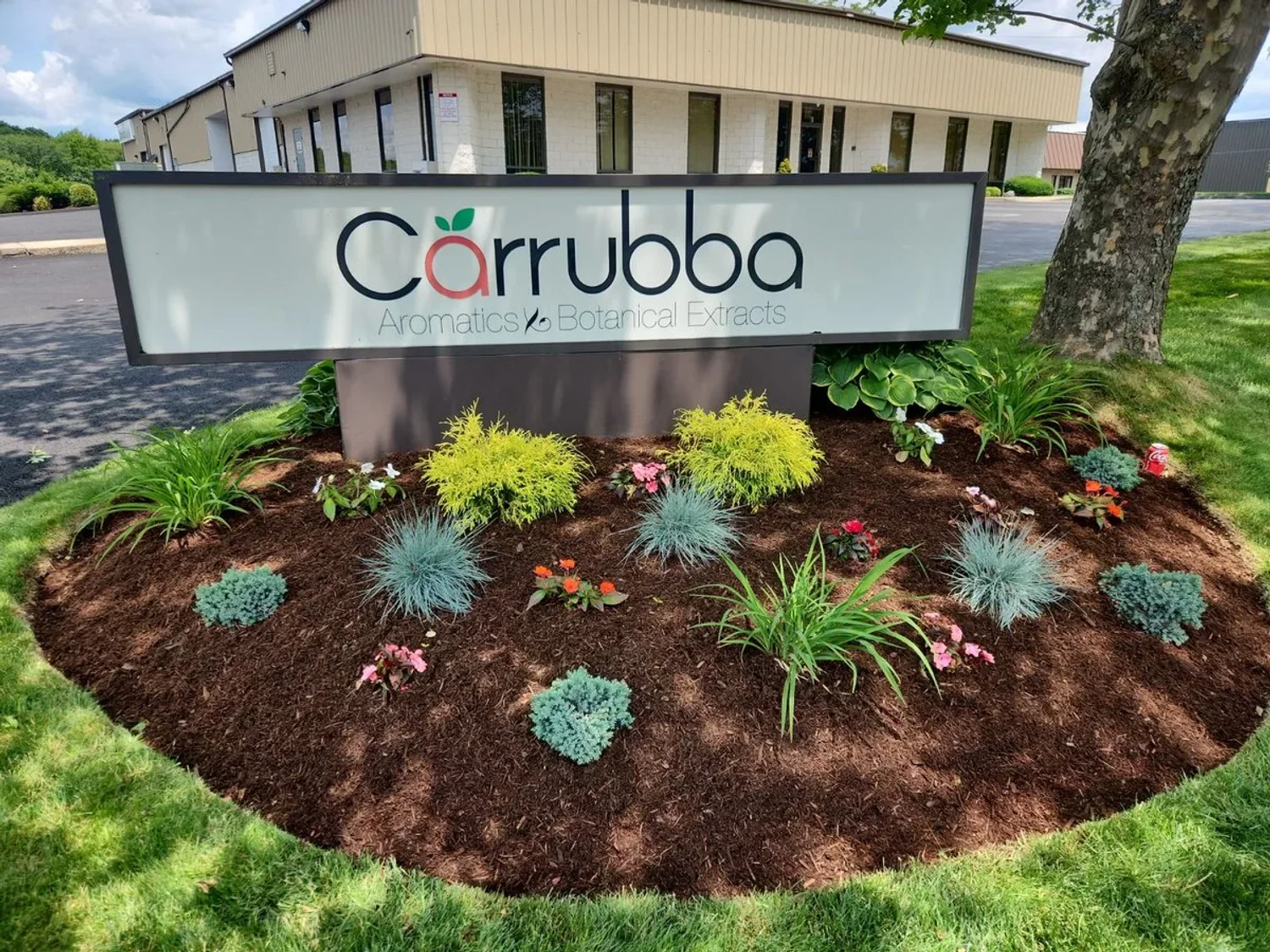 Sign for Carruba Aromatics & Botanical Extracts in a landscaped area with various green and flowering plants, a tree, and a building in the background.