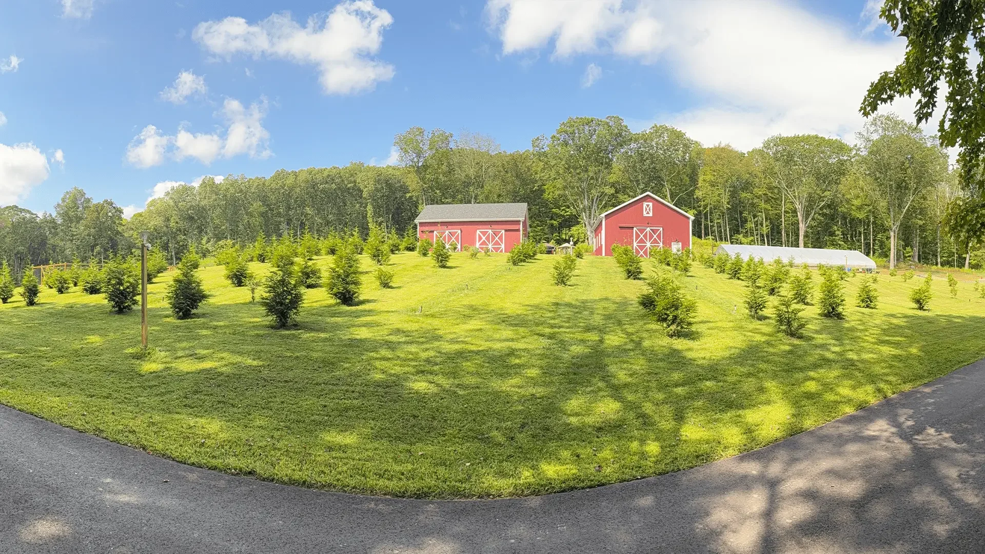 A scenic view of a farm with two red barns, a greenhouse, and numerous small trees on a grassy hill, with a forest in the background and a partly cloudy sky.