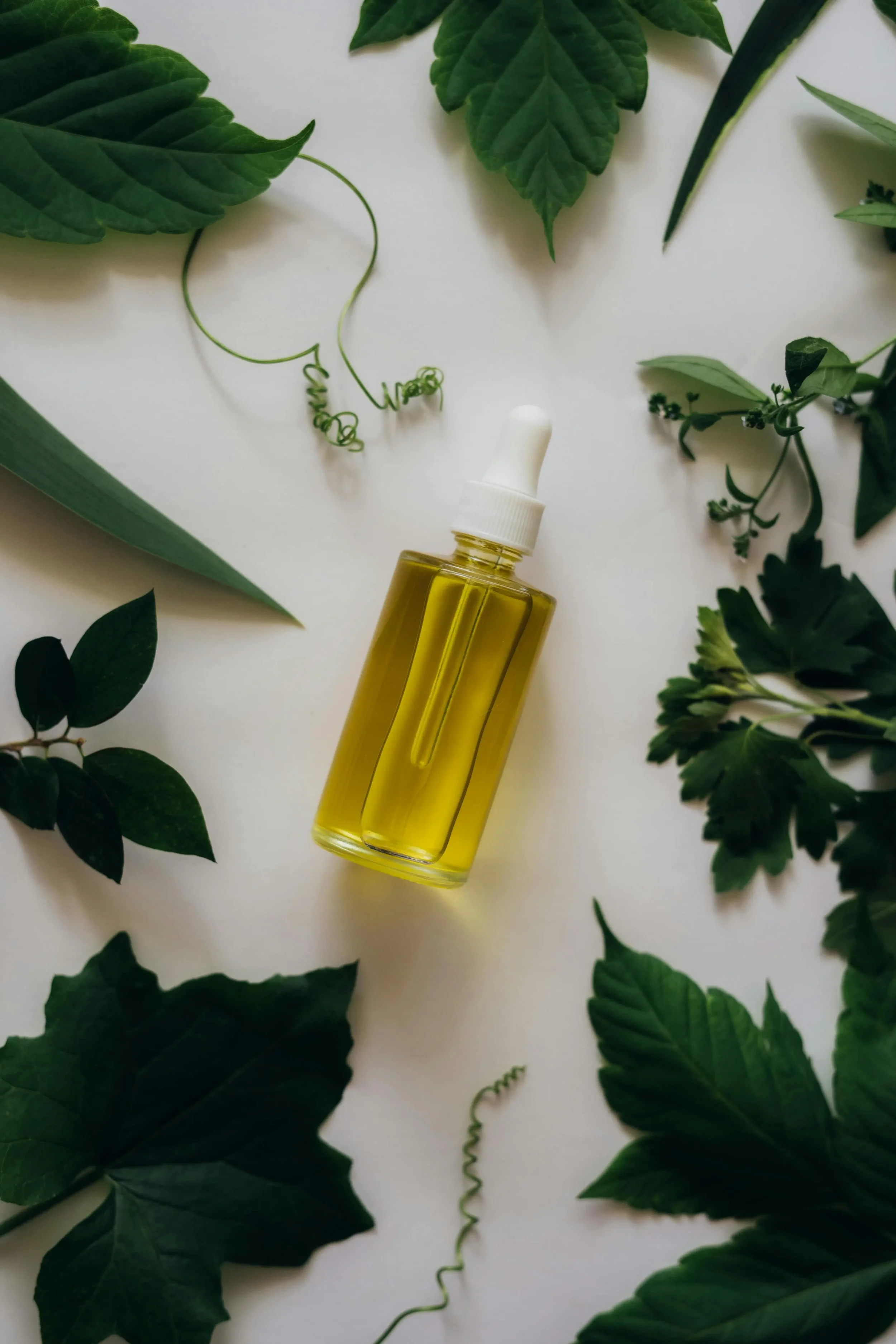 Active Rich Concentrated Extract Ingredients