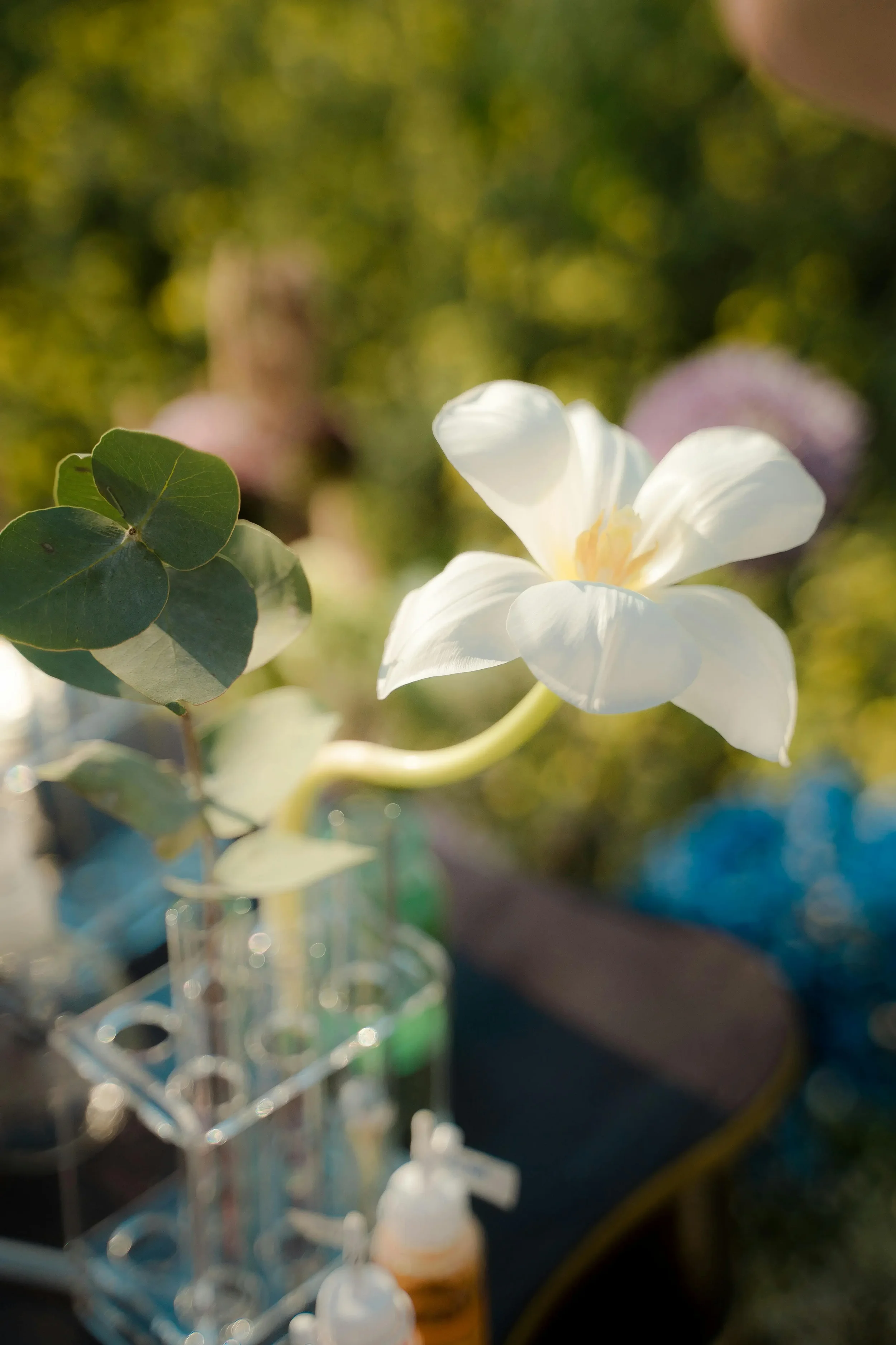 Natural Fragrances & Synthetic Fragrances Manufacturer | Fragrance Manufacturer USA
