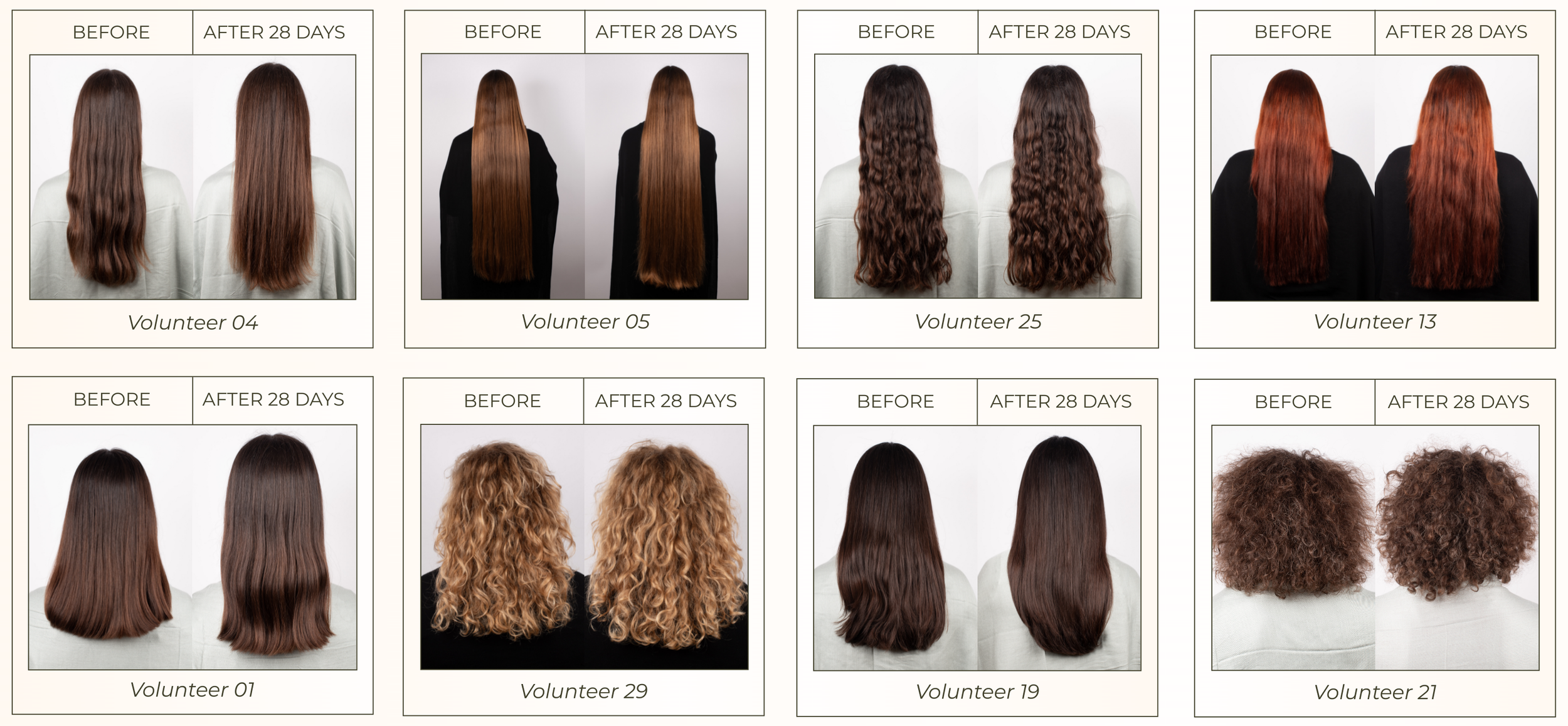 Comparison of different women's hair styles before and after 28 days, showing various hair textures, lengths, and colors for multiple volunteers.