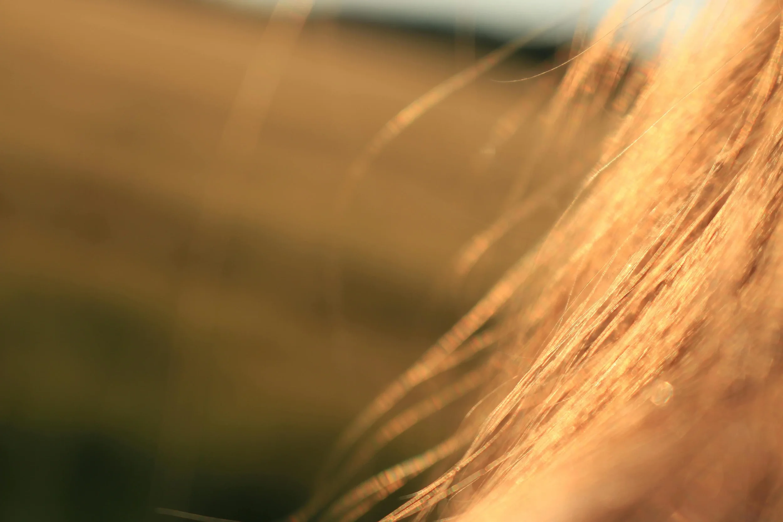 Natural Hair Shine Functional Ingredient