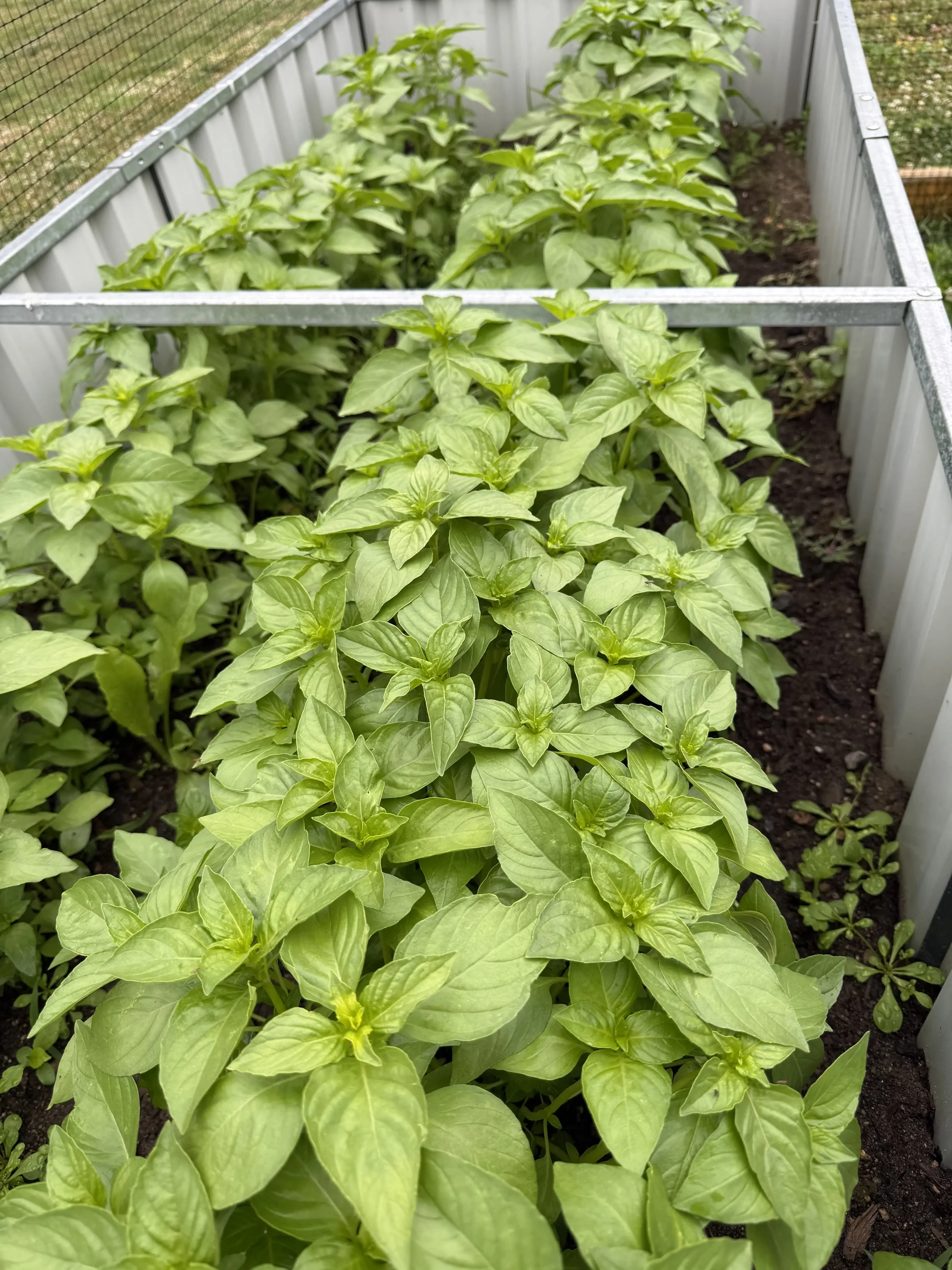 Farm Grown Botanical Extracts
