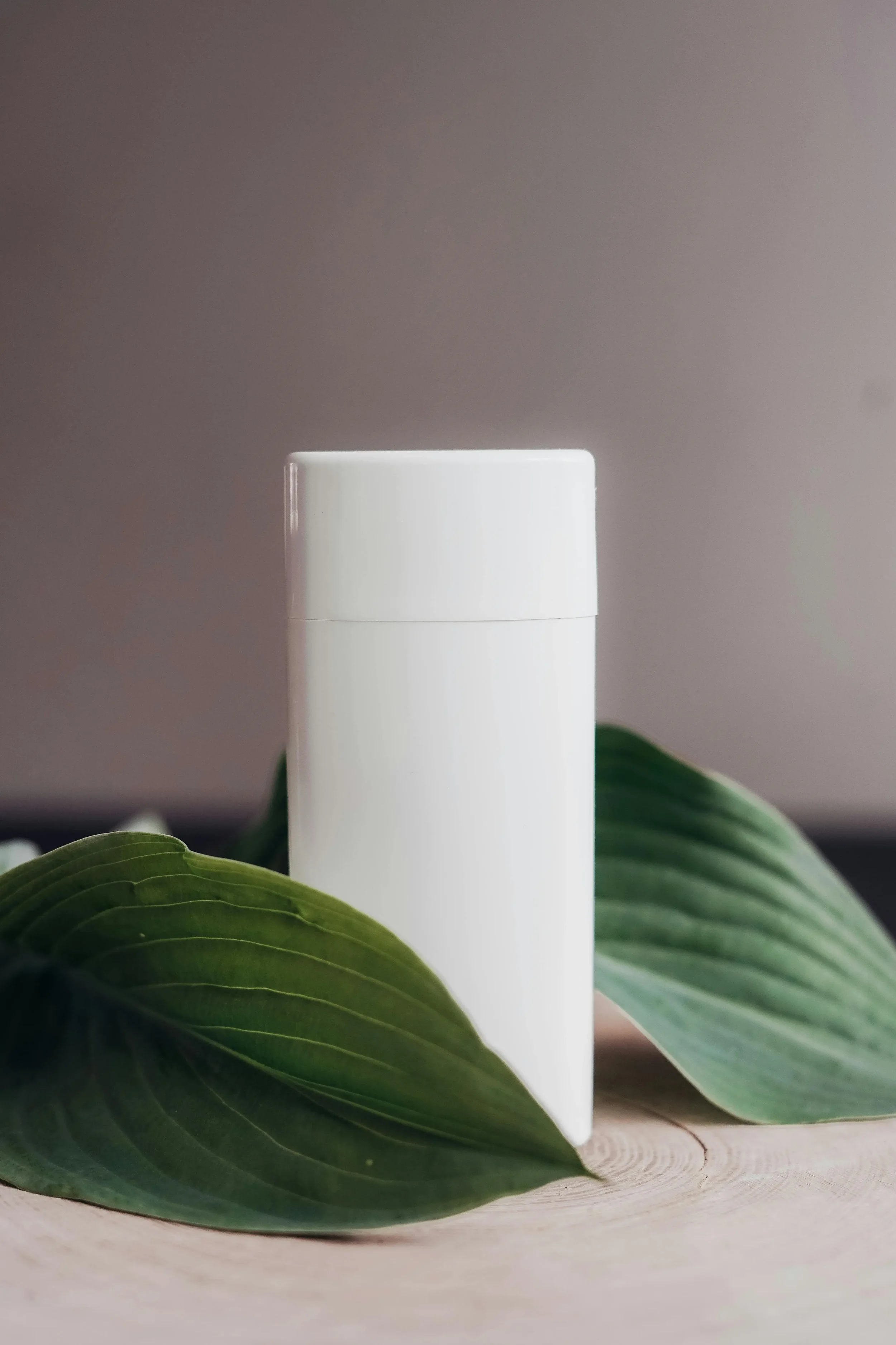 Natural Functional Odor Neutralizing Ingredient