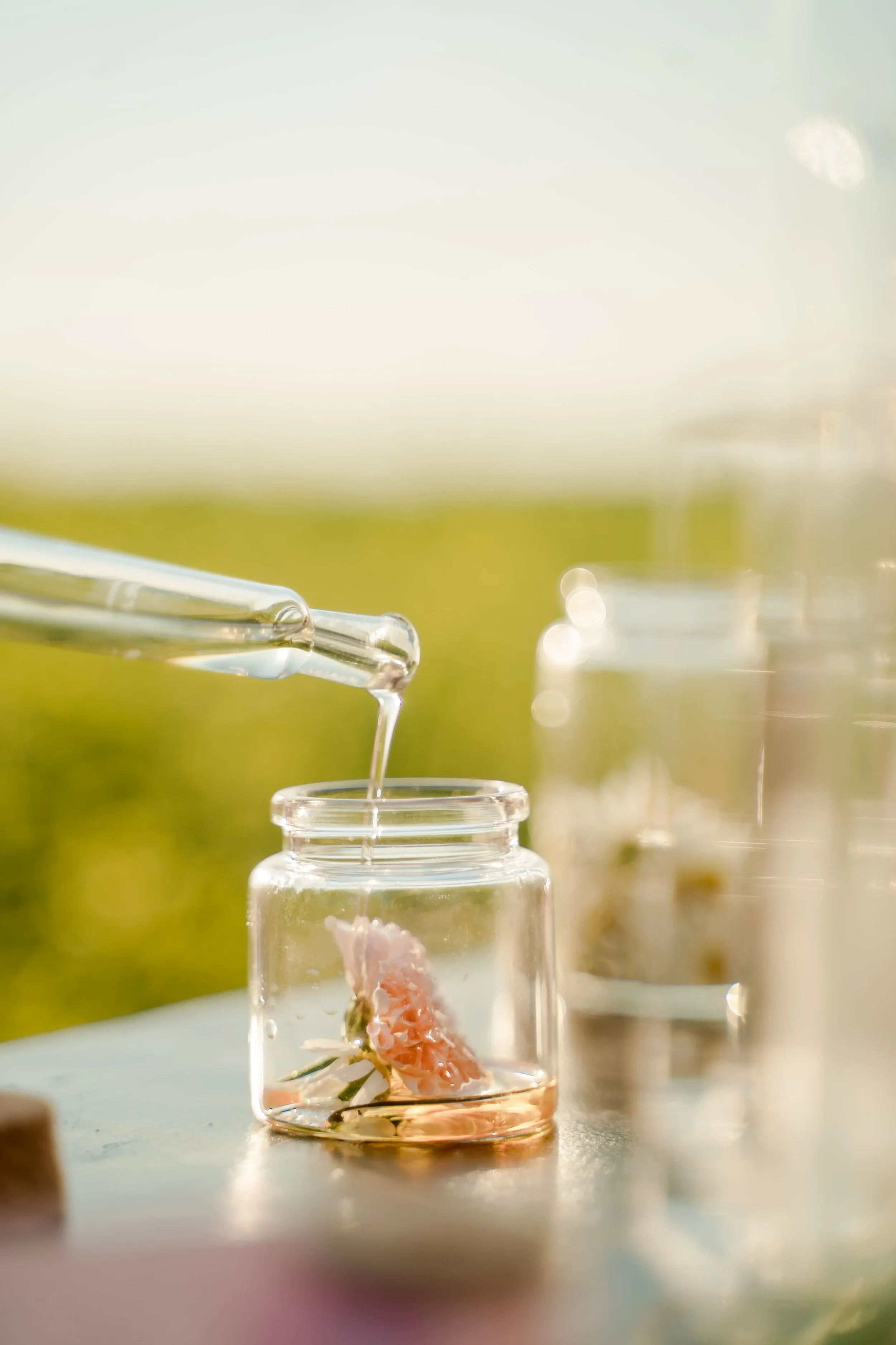 fragrance free skin care