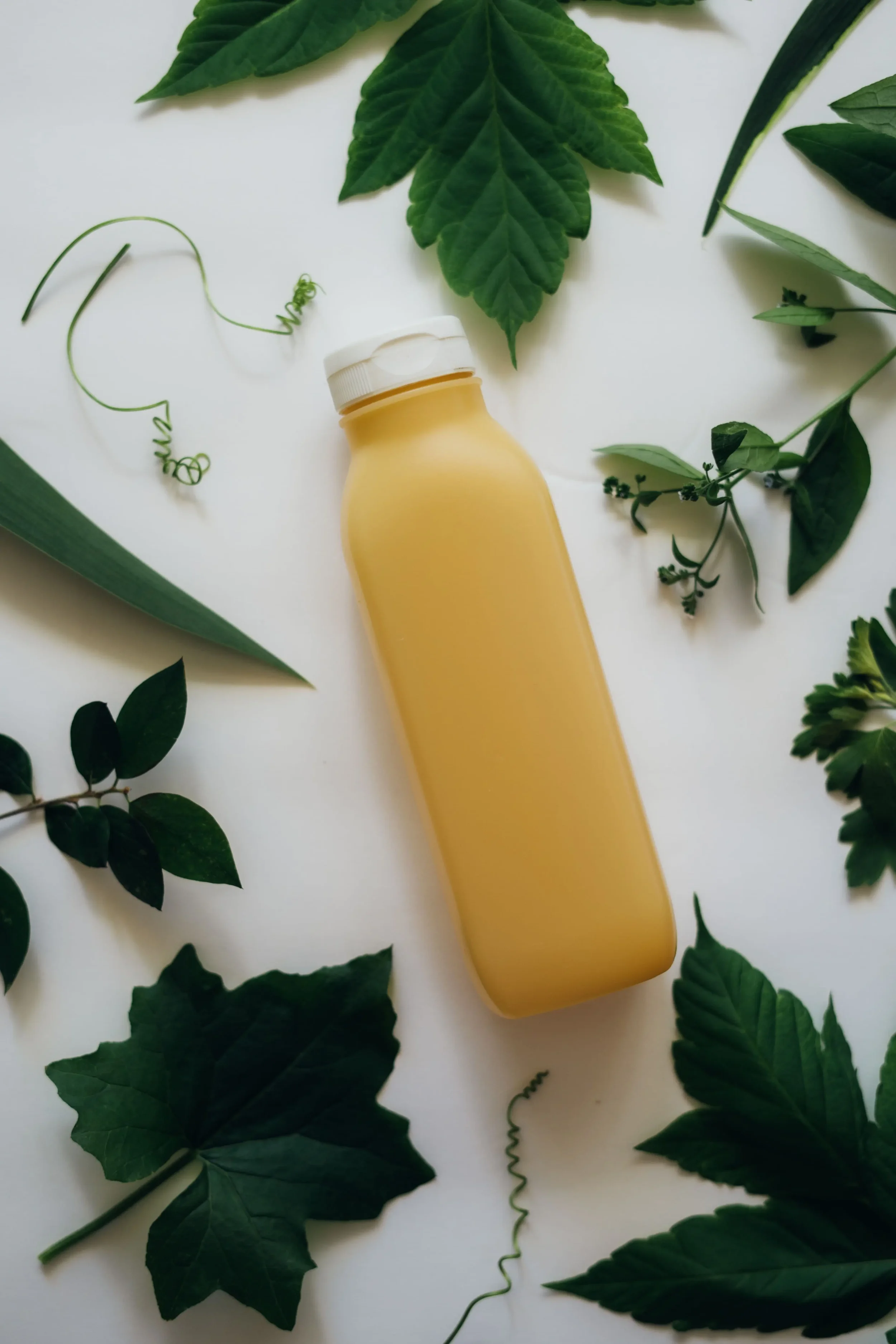 plant based hair care ingredients