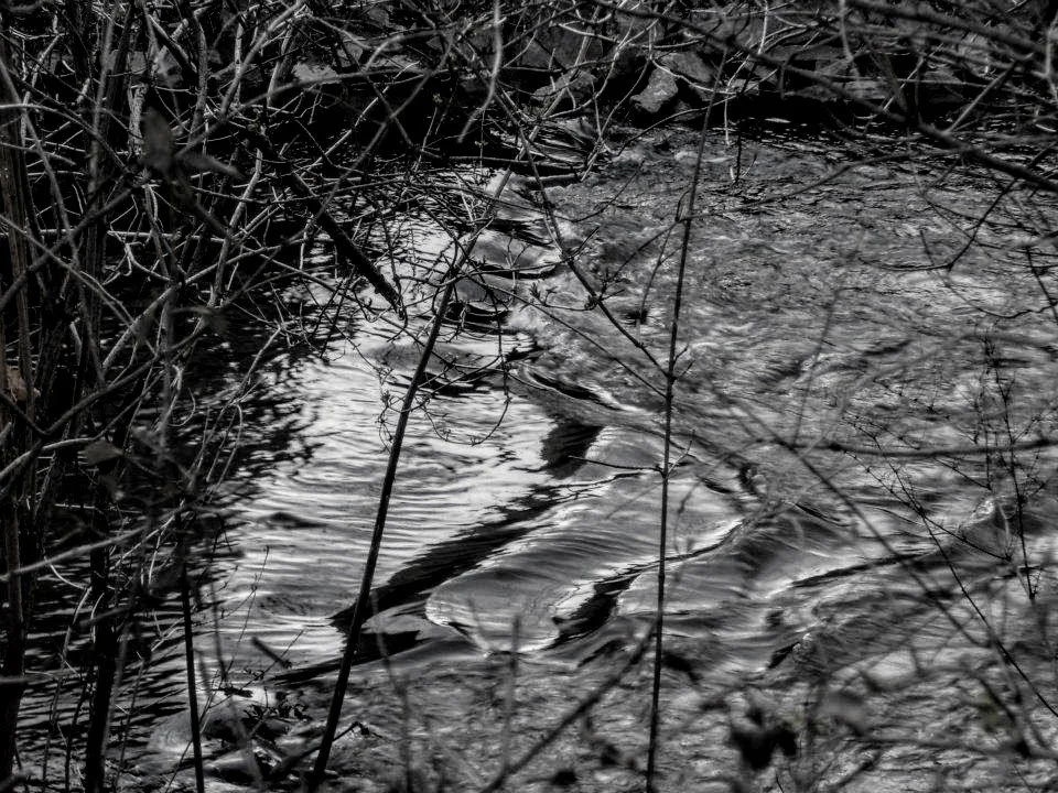 Terezín Stream (2012). Outside of Prague. Now a place of serenity, with remembrances all around.