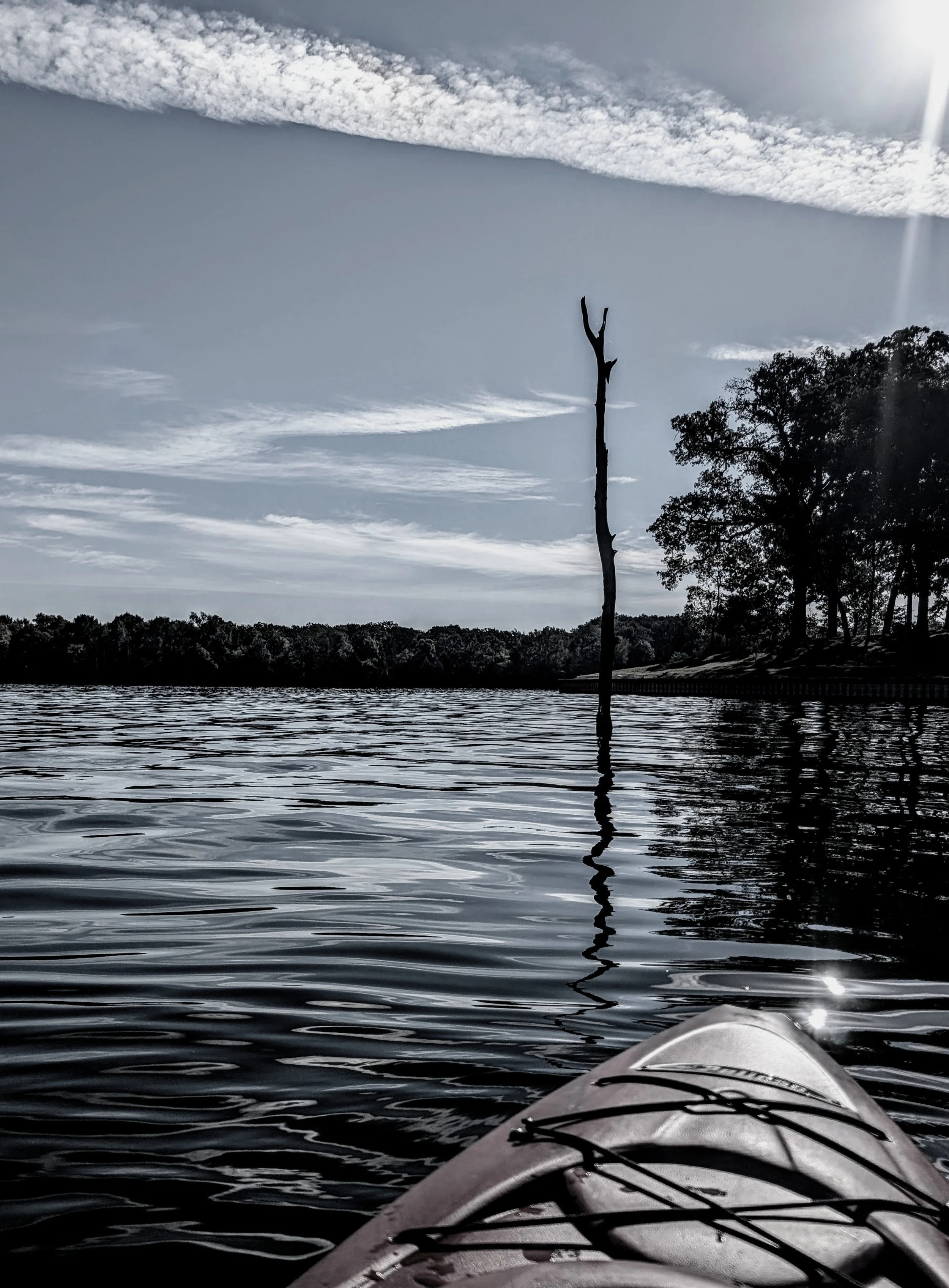 Hooked (2025). The sun on the lake, no one around but us and the alligator gars. The cove provided a moment of quiet looking from where we came.