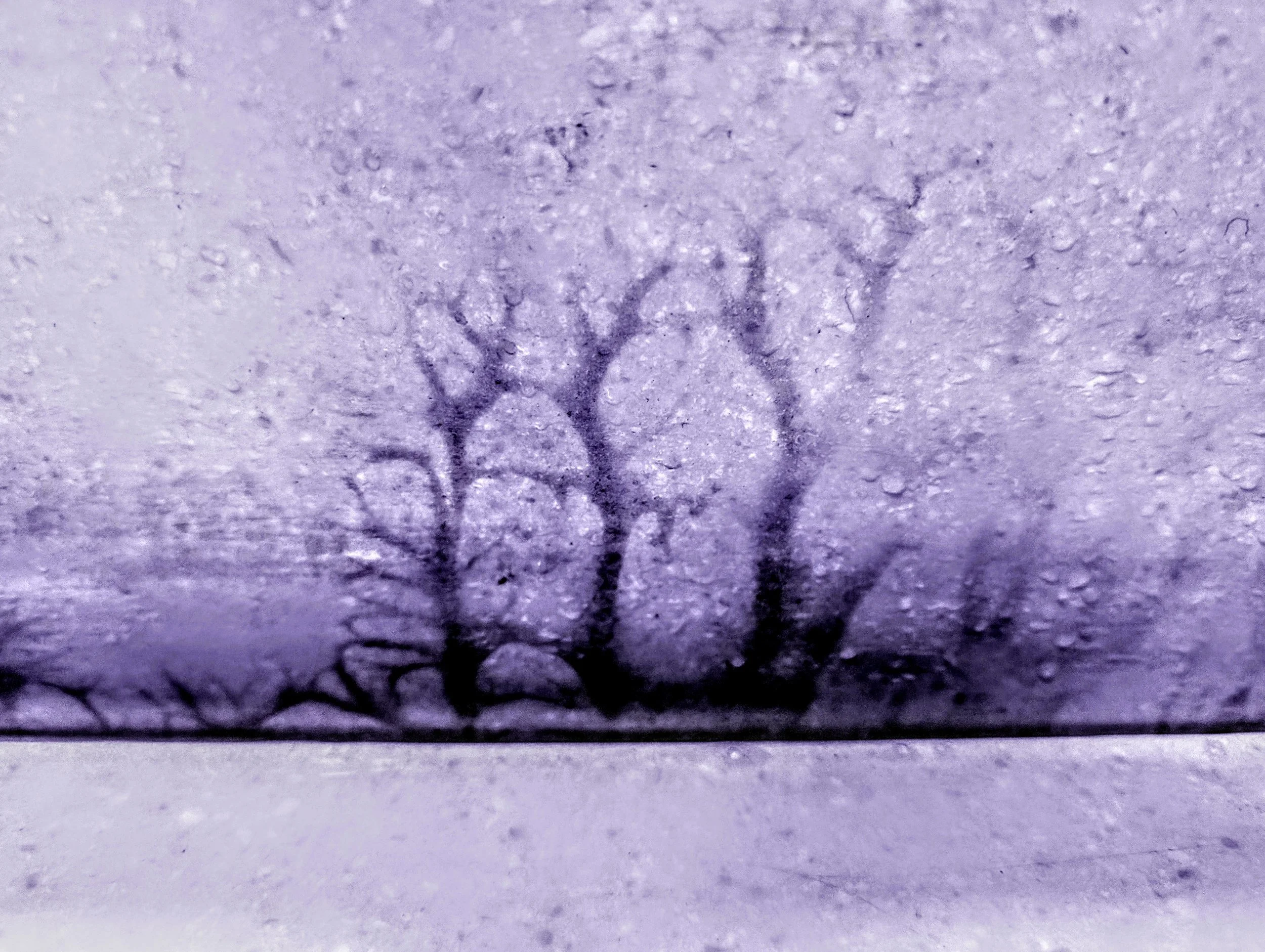 In Vein (2025). A moment of haste, a vision of something deeper. Edited to meet the vision of my encounter.