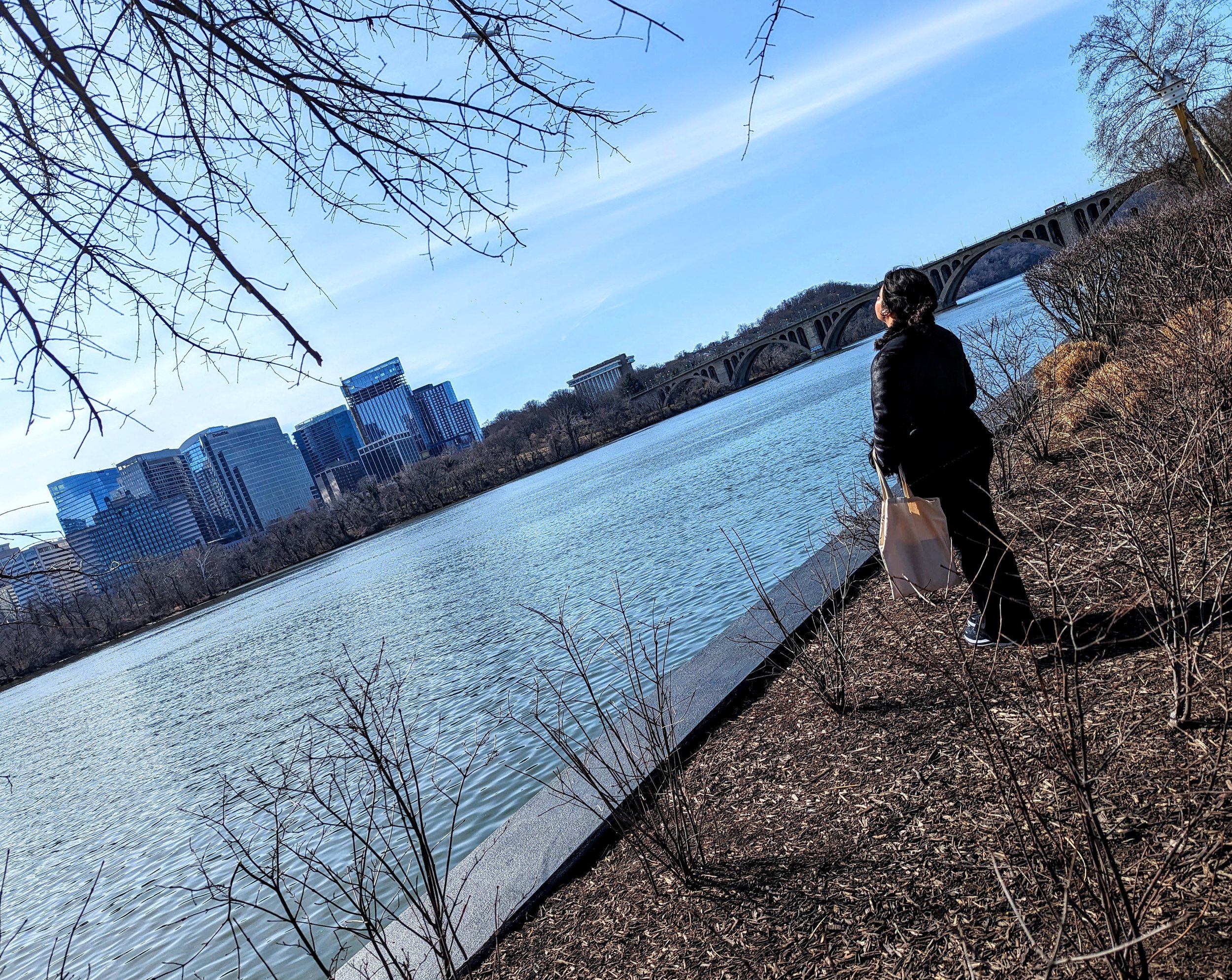 A Deep Breath (2024). A warmer February morning in DC. She walked into the shot, faced away, took in the sun, and wandered off again. A moment of clarity and ease.