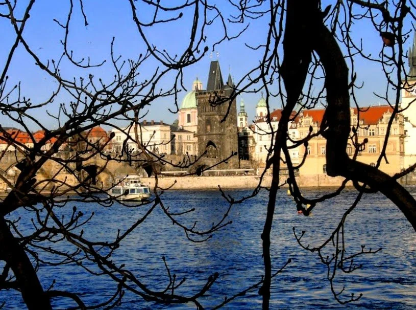 From the Trees (2012). Prague from across the river.