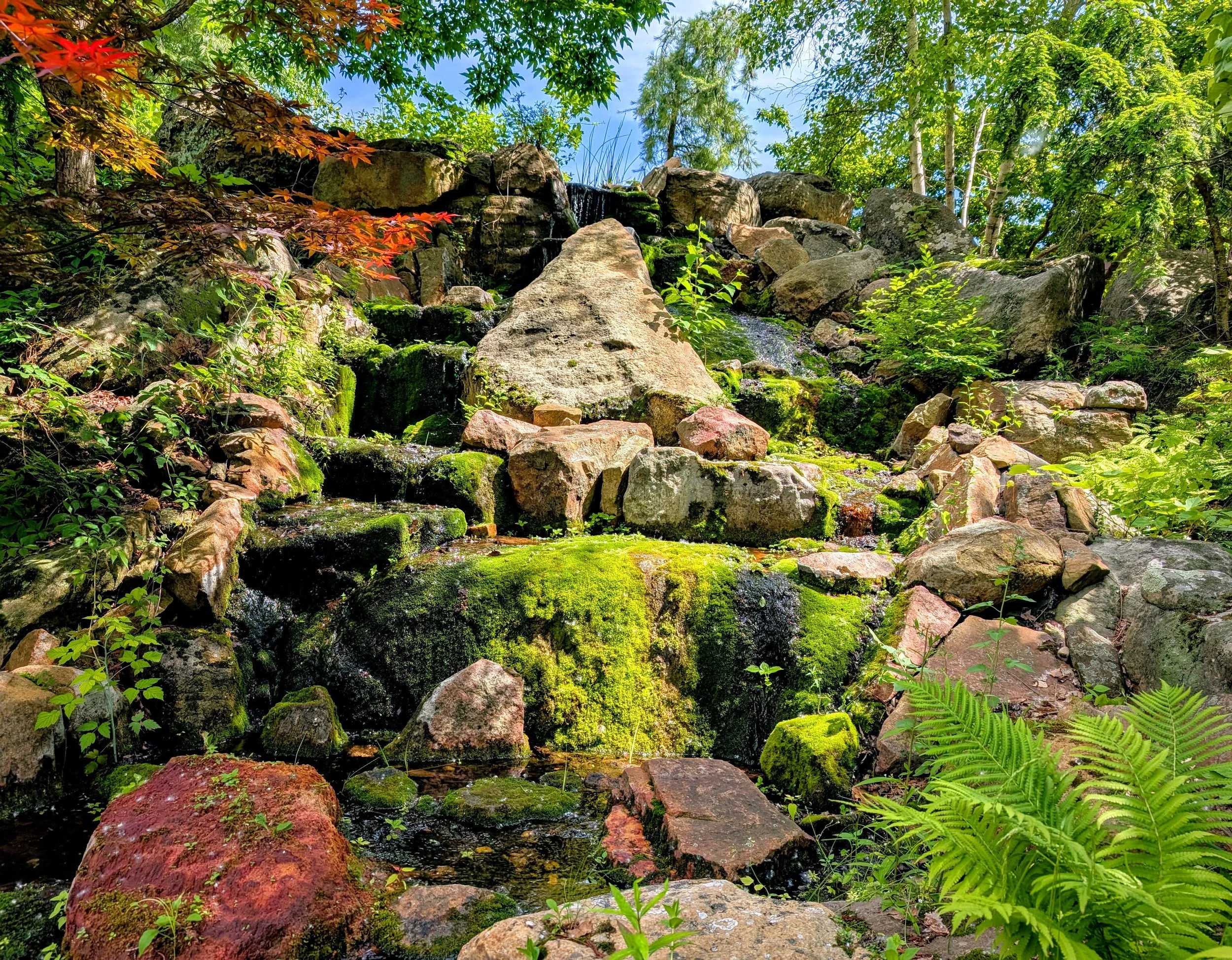 At the Rock (2025) - A moment in a garden, amongst the tree and rocks. Currently on display at the Austin Public Library - Carver Branch.