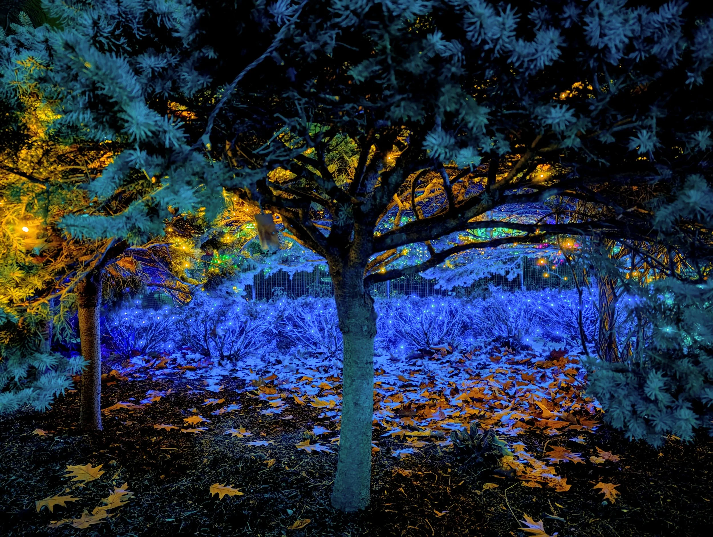 The Village (2024). Surely there are villagers resting amongst the leaves.