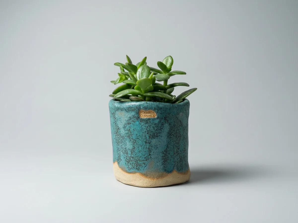 A small green succulent plant in a textured blue plant pot with a small golden label that says "Yolanda Ceramics" against a plain white background.