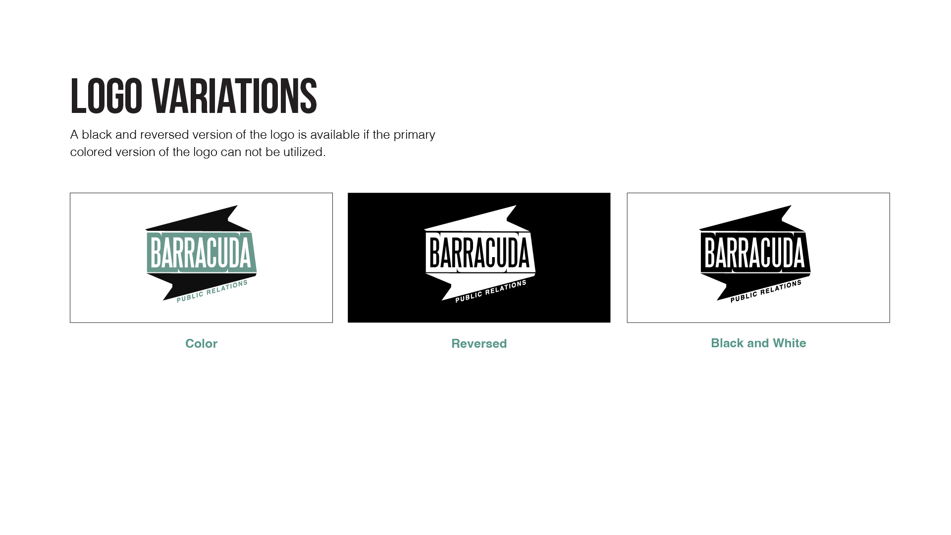 17 - Logo Variations.png