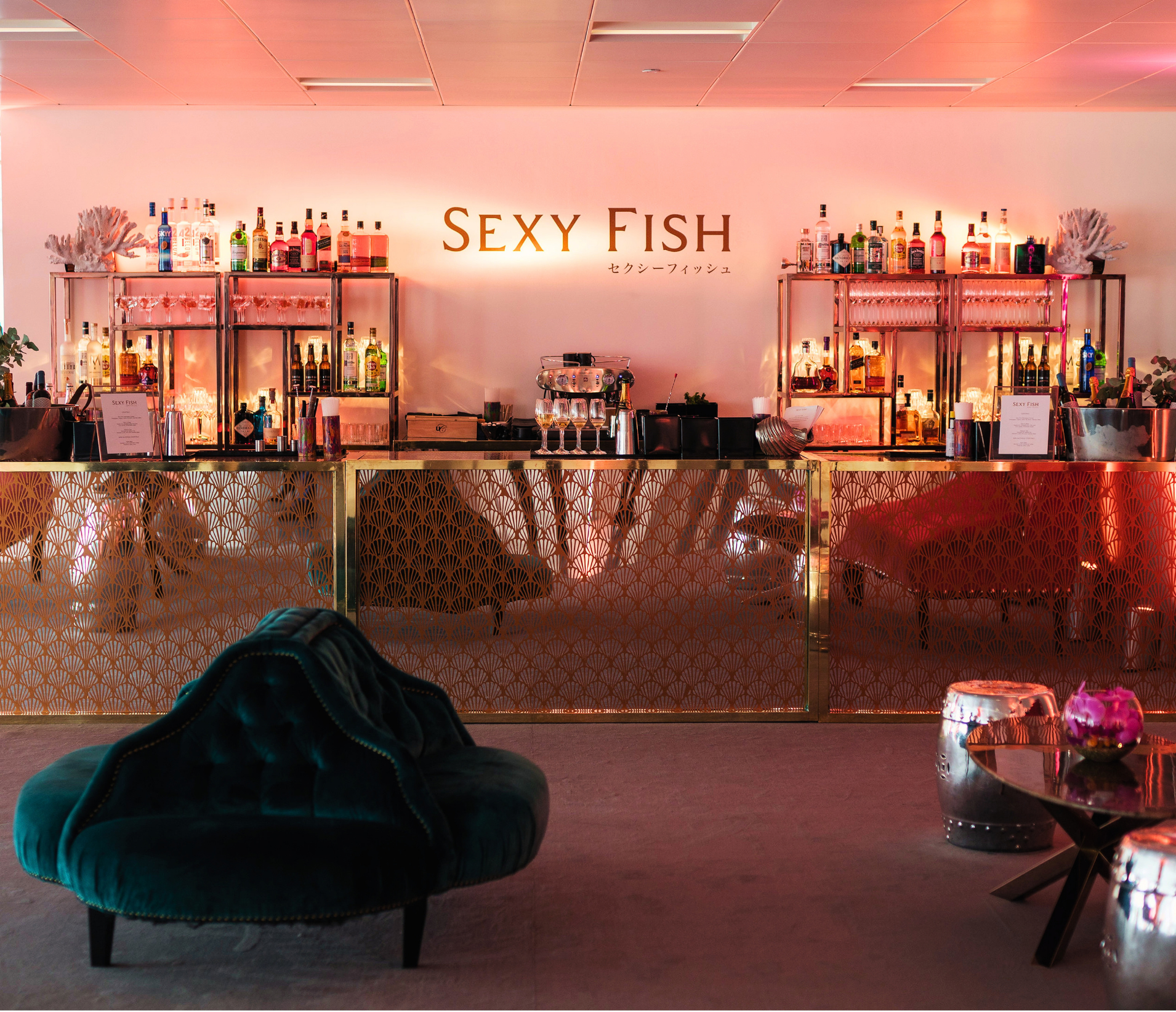 Sexy Fish In The City