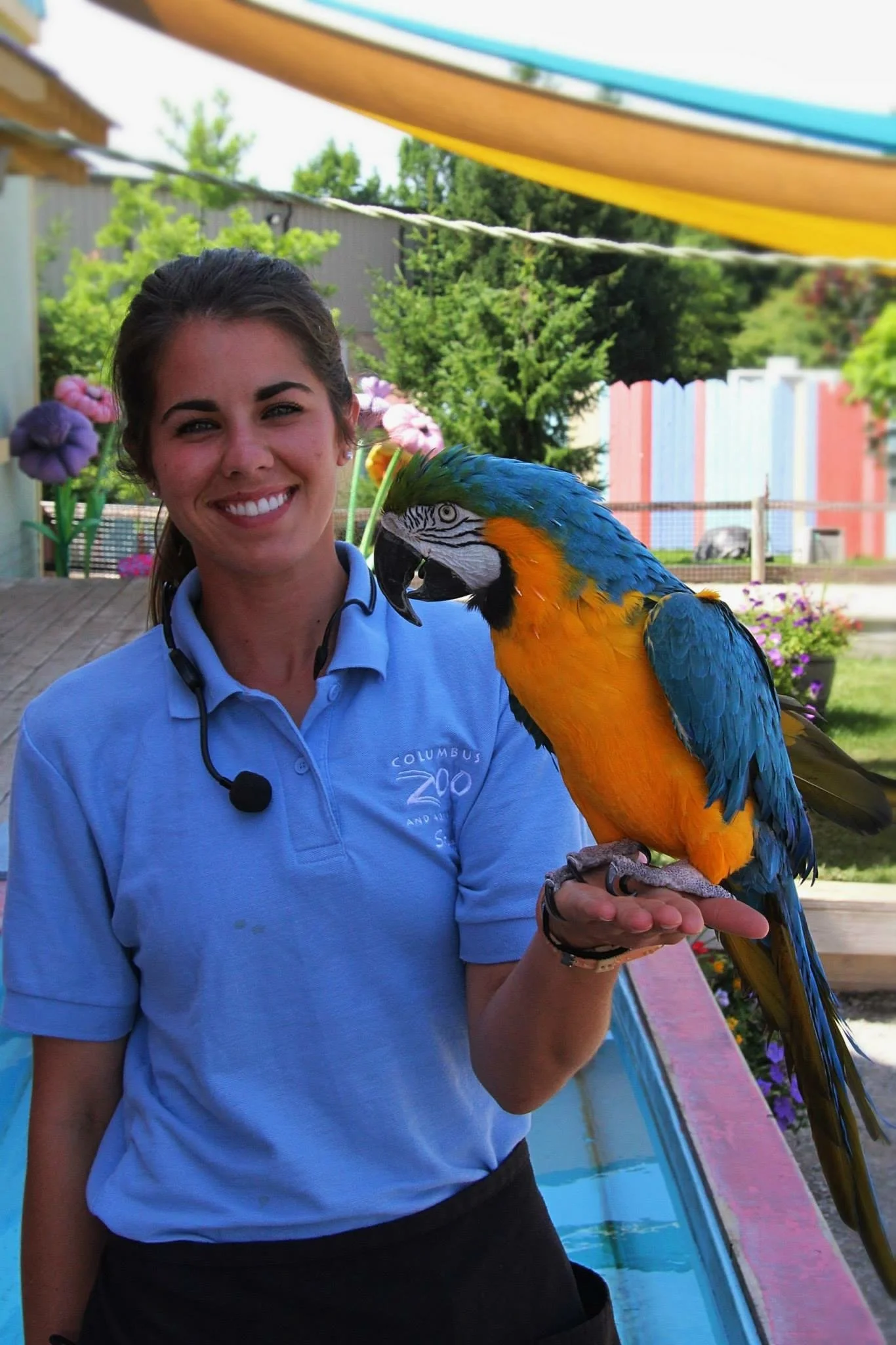 A woman in a blue polo shirt holding a colorful blue and yellow macaw perched on her hand. She is smiling outdoors, with a background of trees, flowers, and a colorful slide.