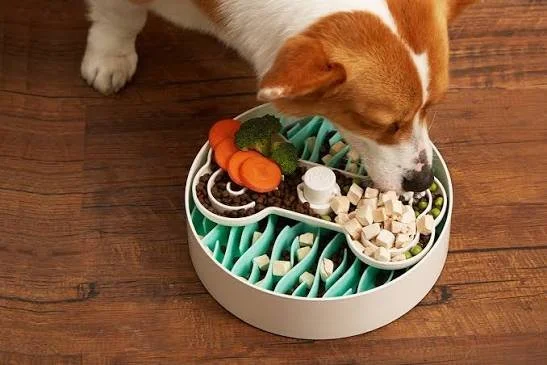 A dog eating from a divided puzzle feeder bowl filled with dog food and vegetables on a wooden floor.