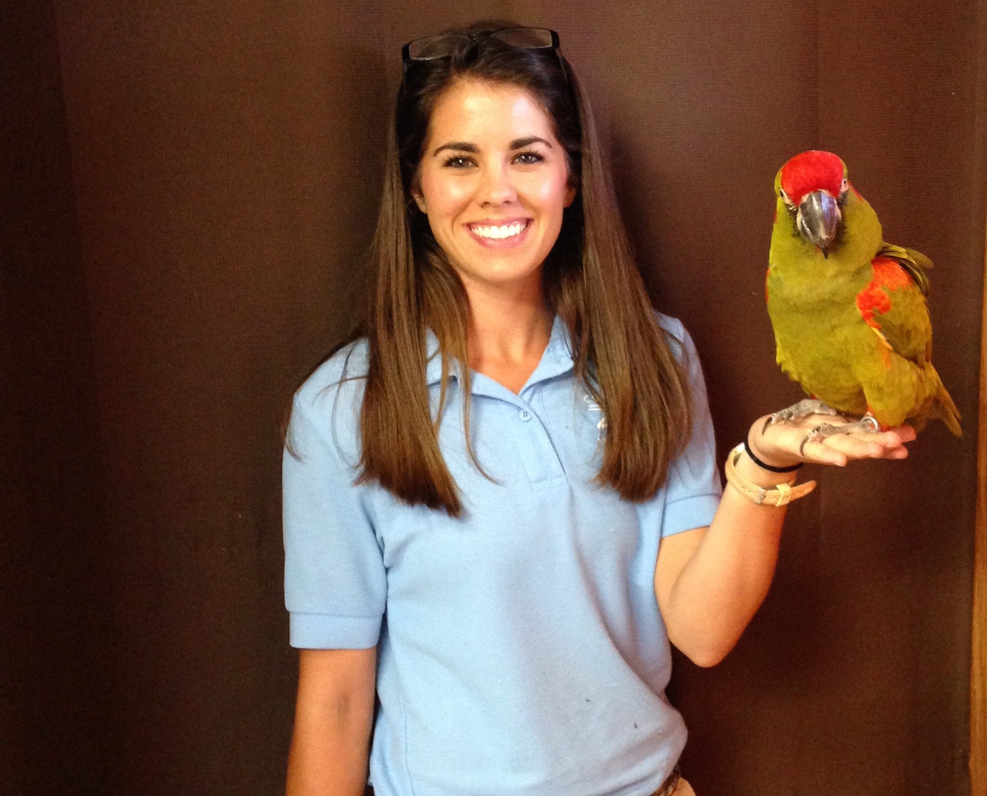 A woman with long brown hair, wearing glasses on her head and a light blue shirt, holding a colorful parrot on her hand, standing against a dark brown background.