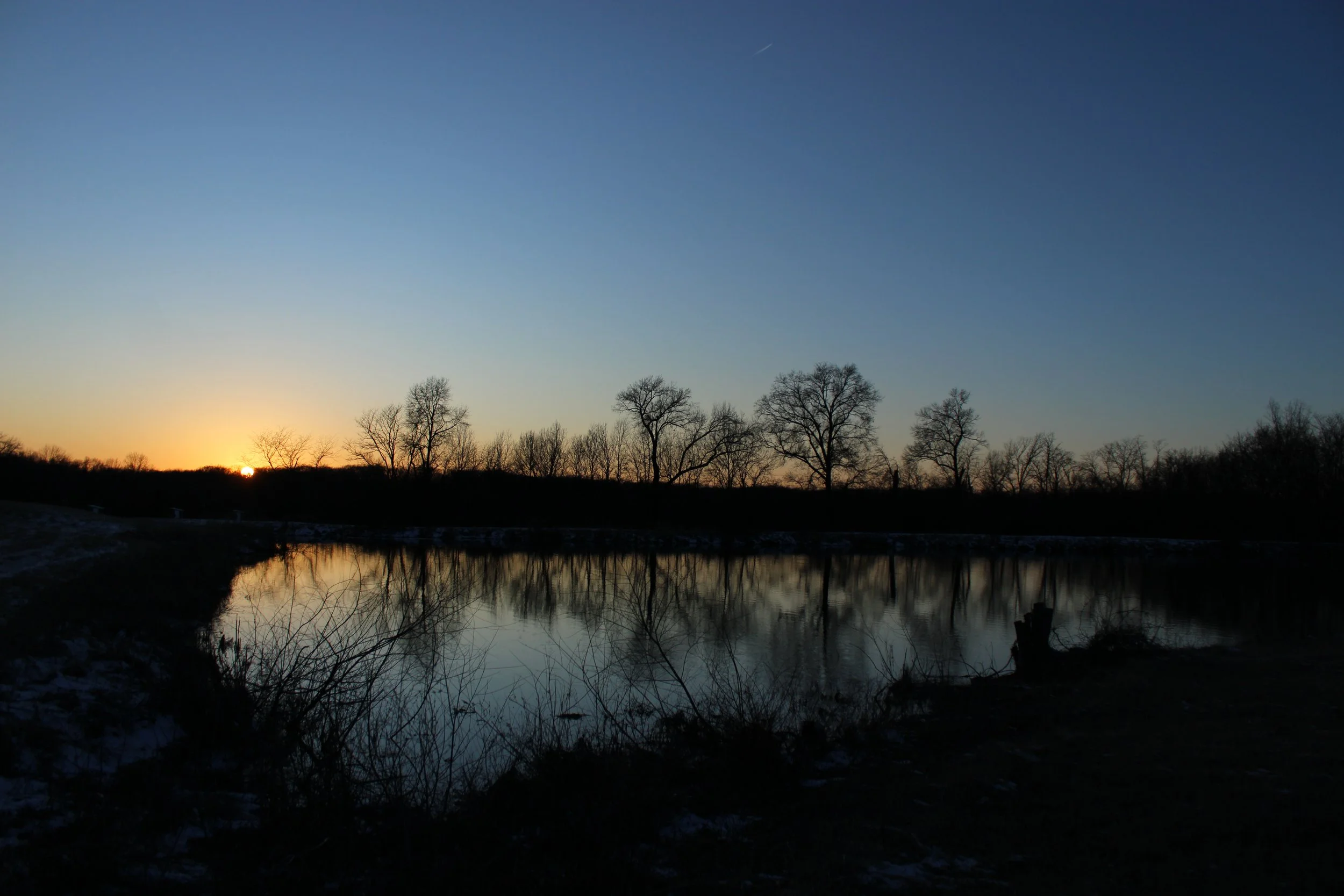 IMG_0317 2.JPG