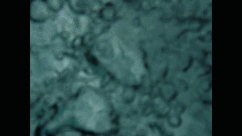 8-ezgif.com-speed.gif