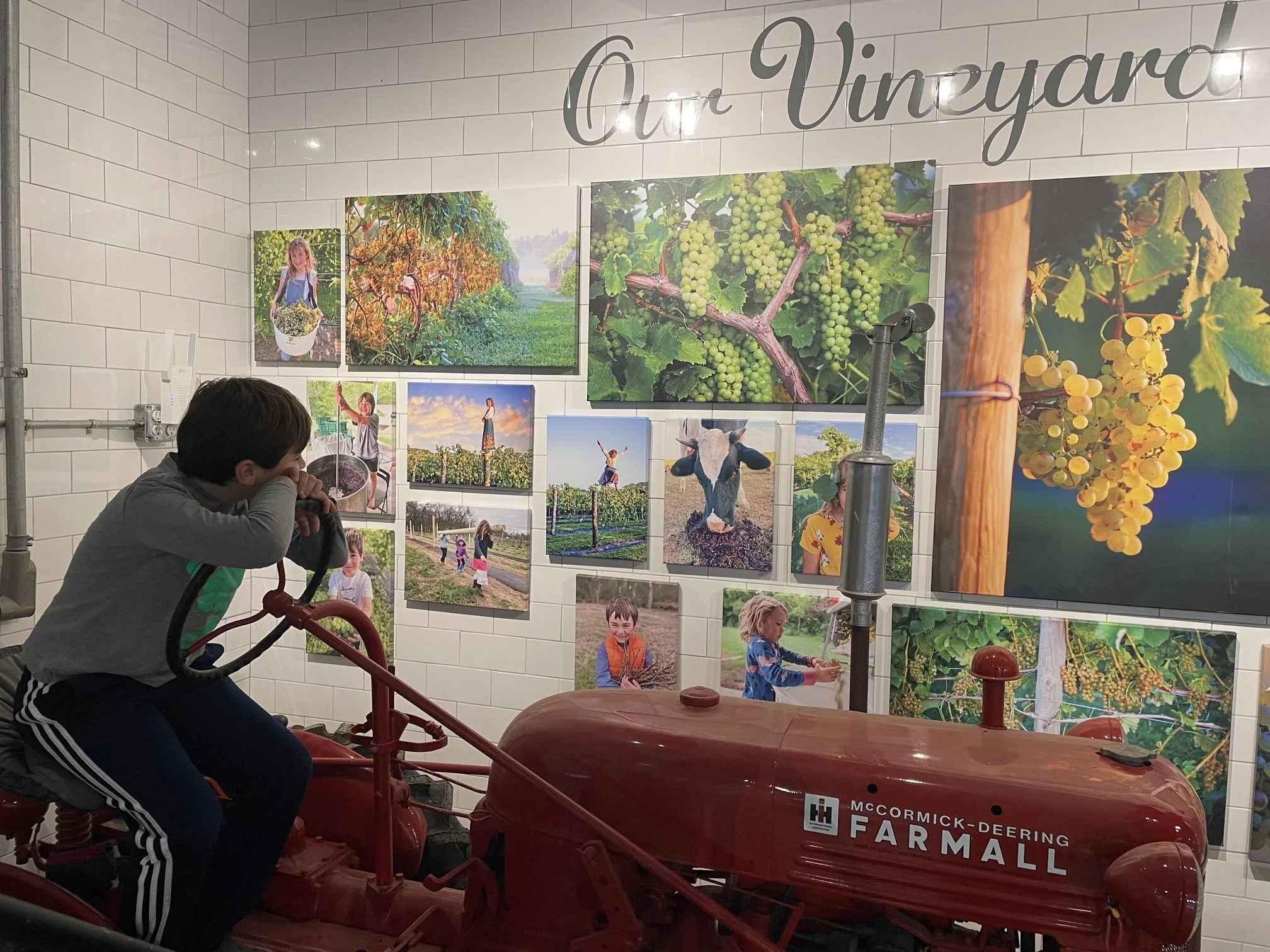 A young boy sitting on a vintage red tractor at McCormick-Deering Farmall, inside a room decorated with large photographs of grapes, vineyards, children, and animals, under a sign that reads 'Our Vineyard'.