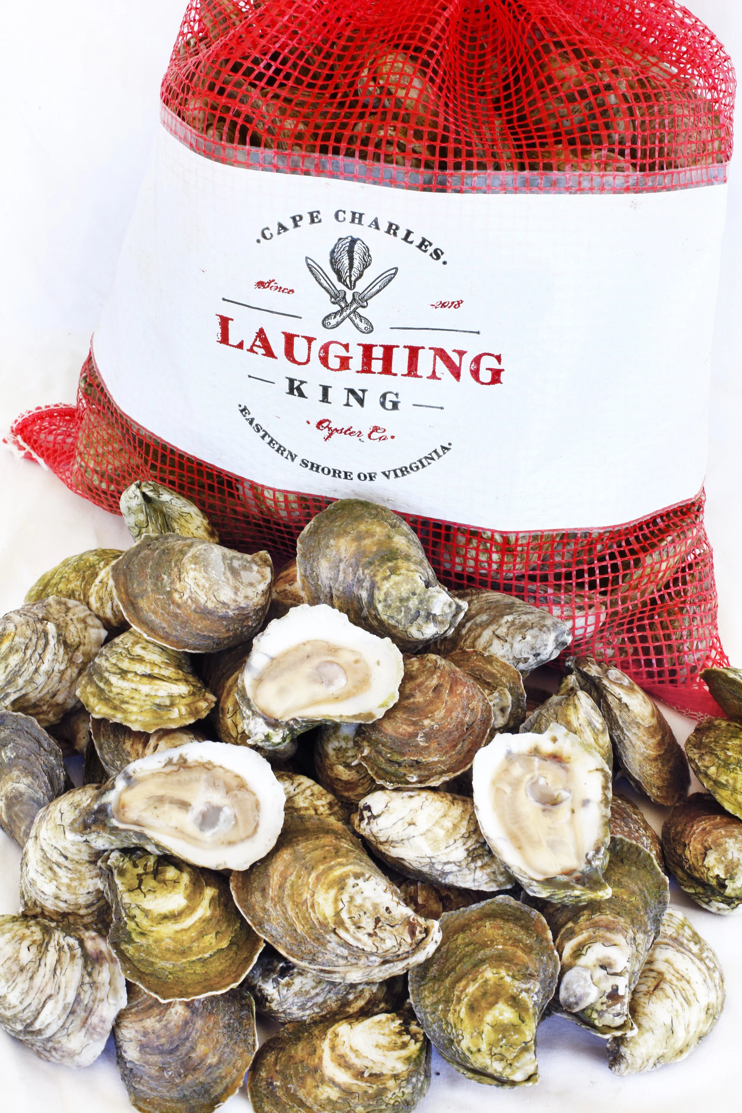 A large pile of opened oysters with rough, textured shells, surrounding a bag labeled 'Laughing King' containing more oysters, on a white surface.