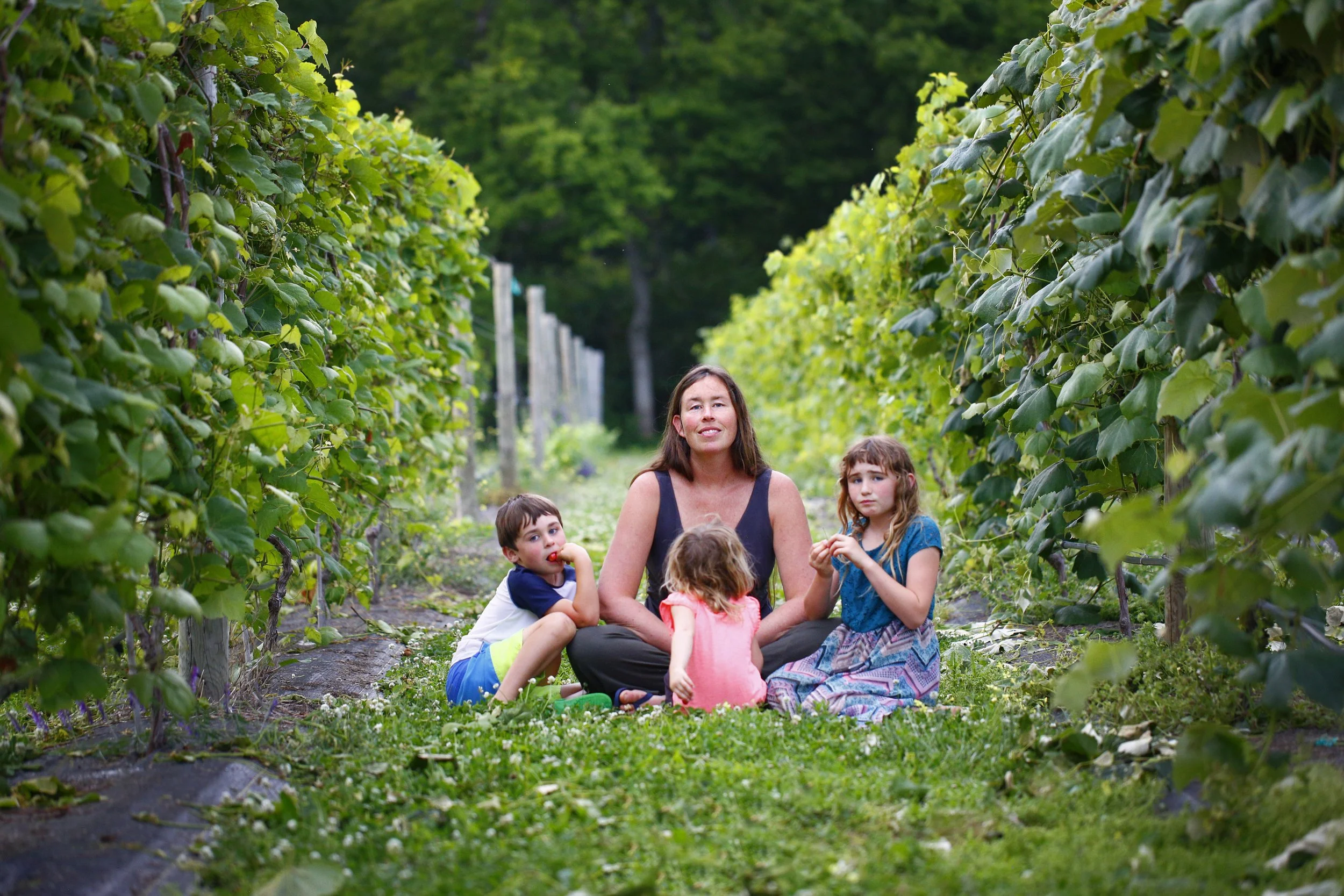 A woman and five children sitting on the ground in a vineyard surrounded by green grapevine bushes.