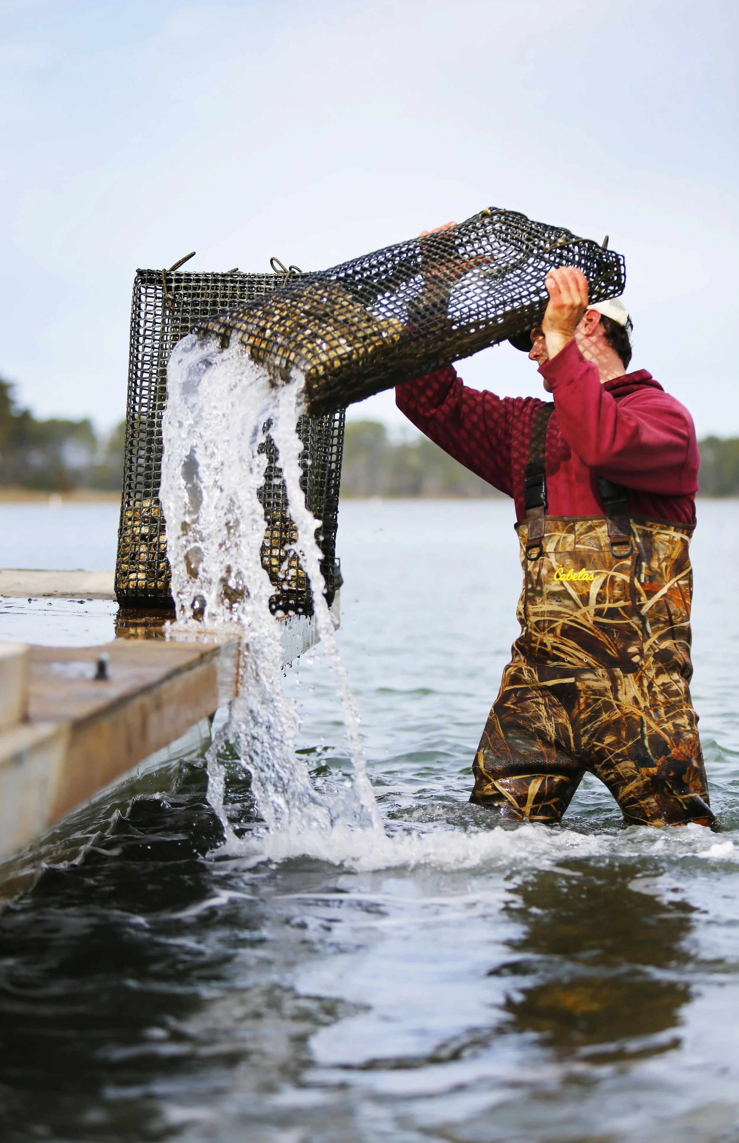 A person wearing camouflage overalls and a red jacket is standing in water, pouring water out of a black plastic trap into a body of water, with trees blurred in the background.
