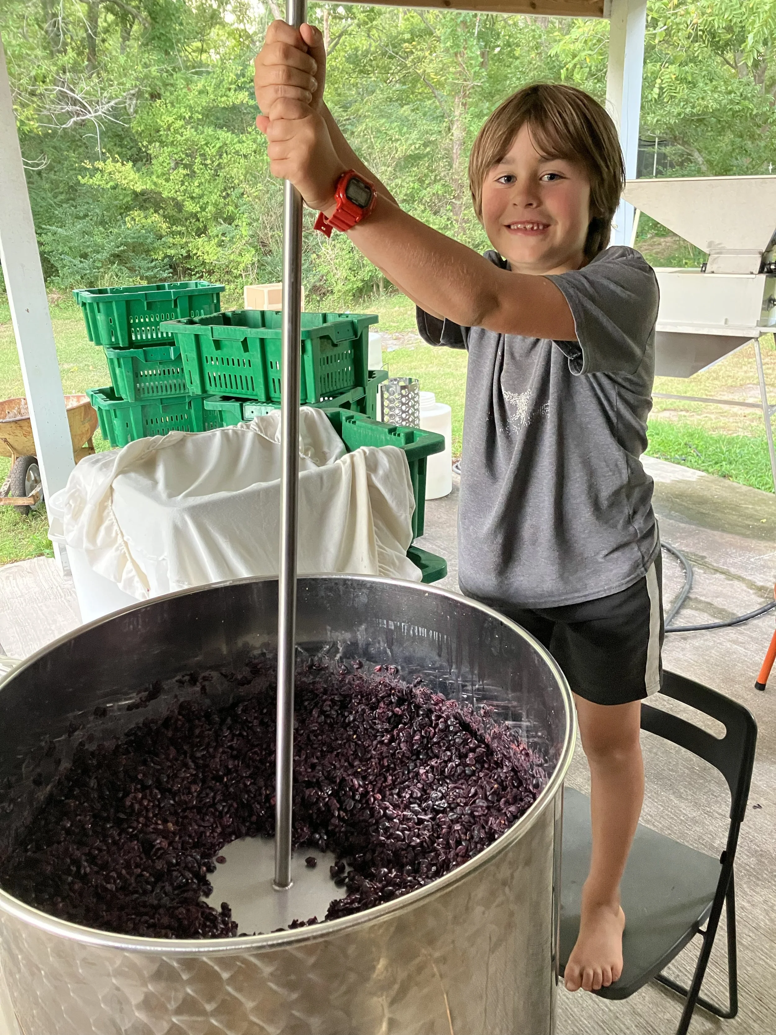 A young boy with brown hair smiling, standing barefoot, holding a metal pole, and working with a large stainless steel container filled with crushed dark purple grapes, likely for winemaking, outdoors near greenery.