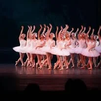 swan lake.jpg