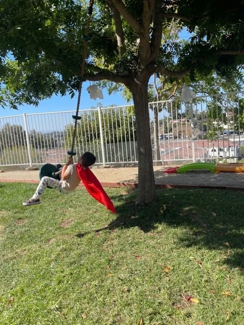 Family Childcare Backyard Tree Swing