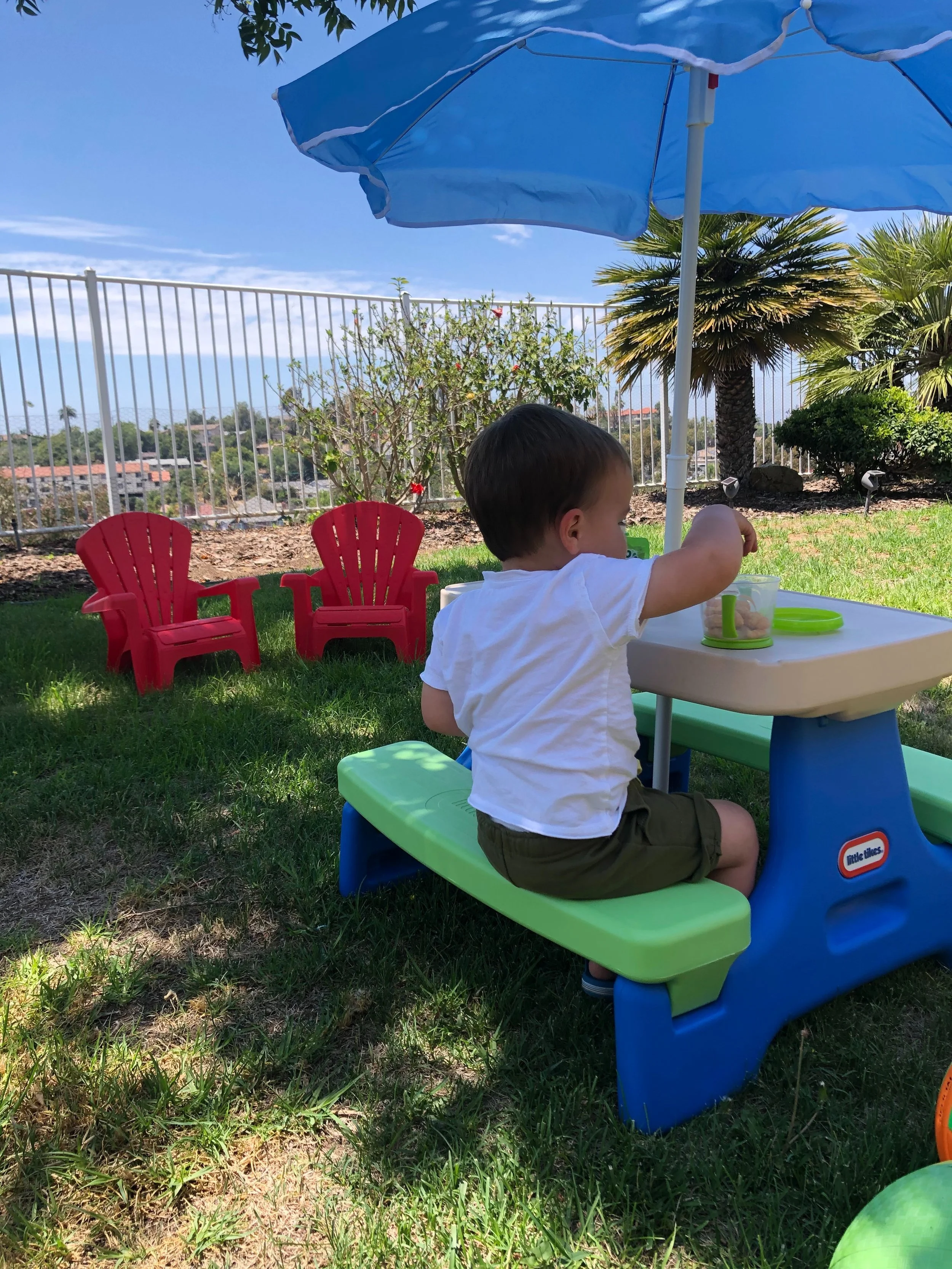 In-Home Daycare Picnic Area