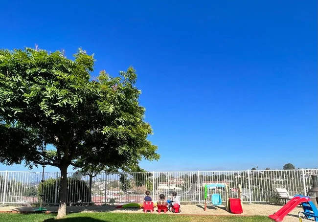 In-Home Daycare Backyard