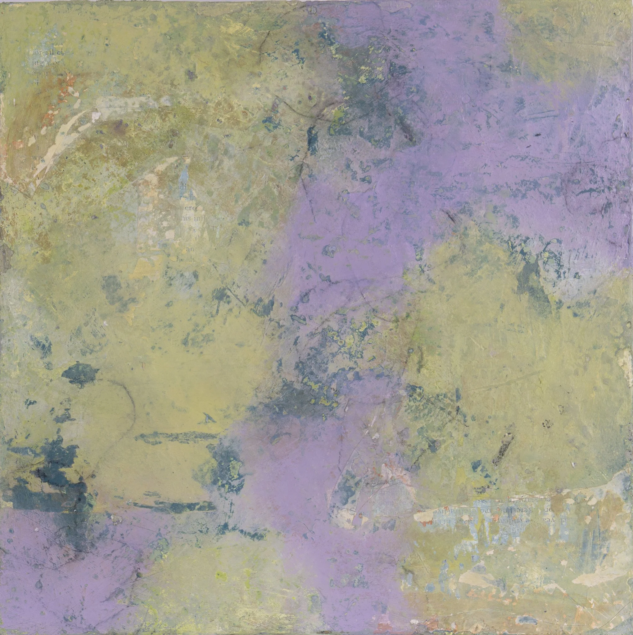 Lavender Field