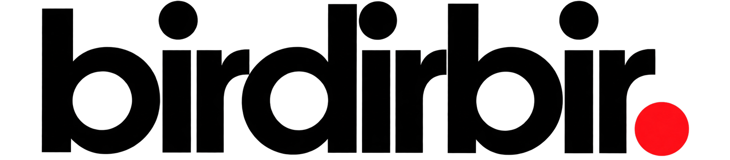 birdirbir.co