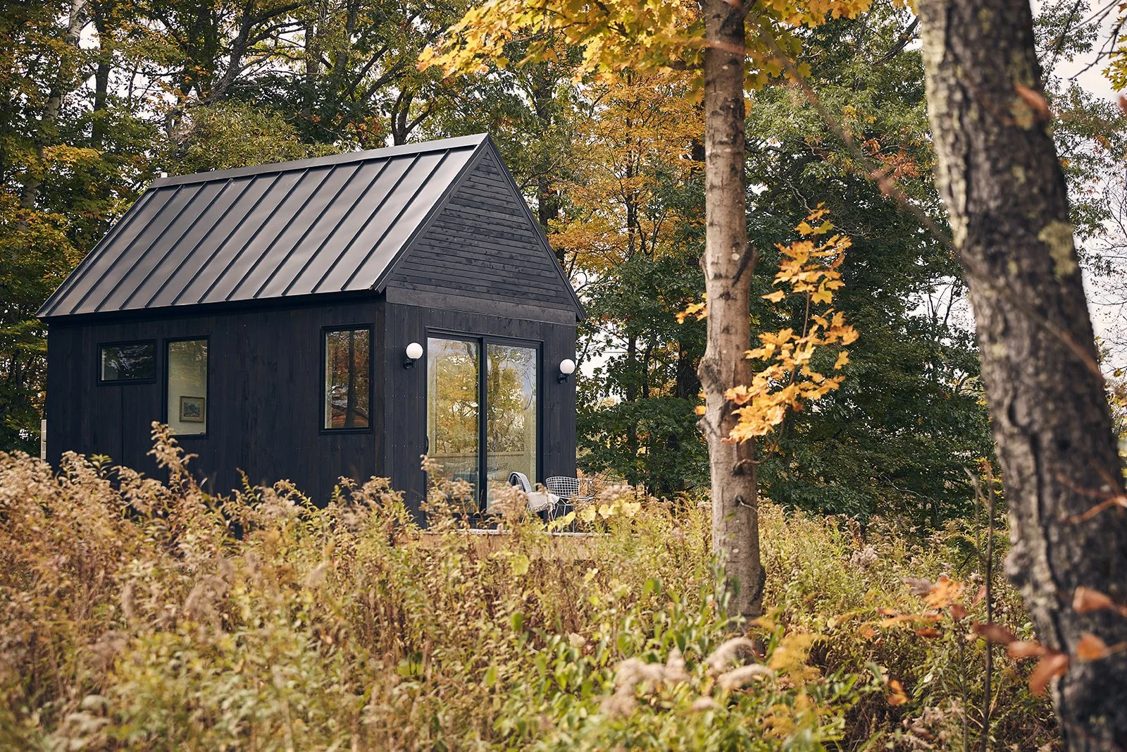 Small black modern wooden cabin with large windows and sliding glass door in a forested area with autumn leaves.