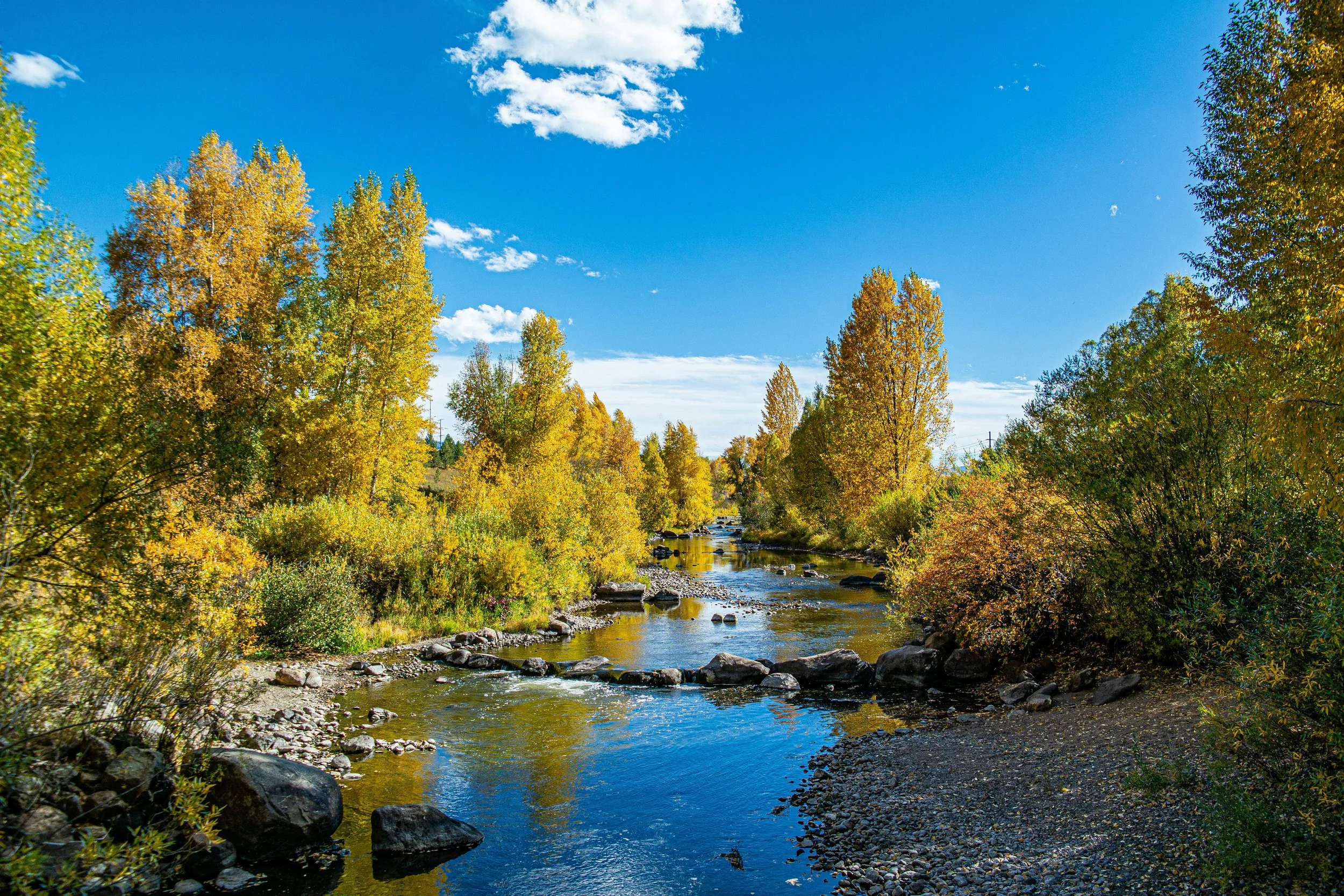 The Yampa River in bright sunlight