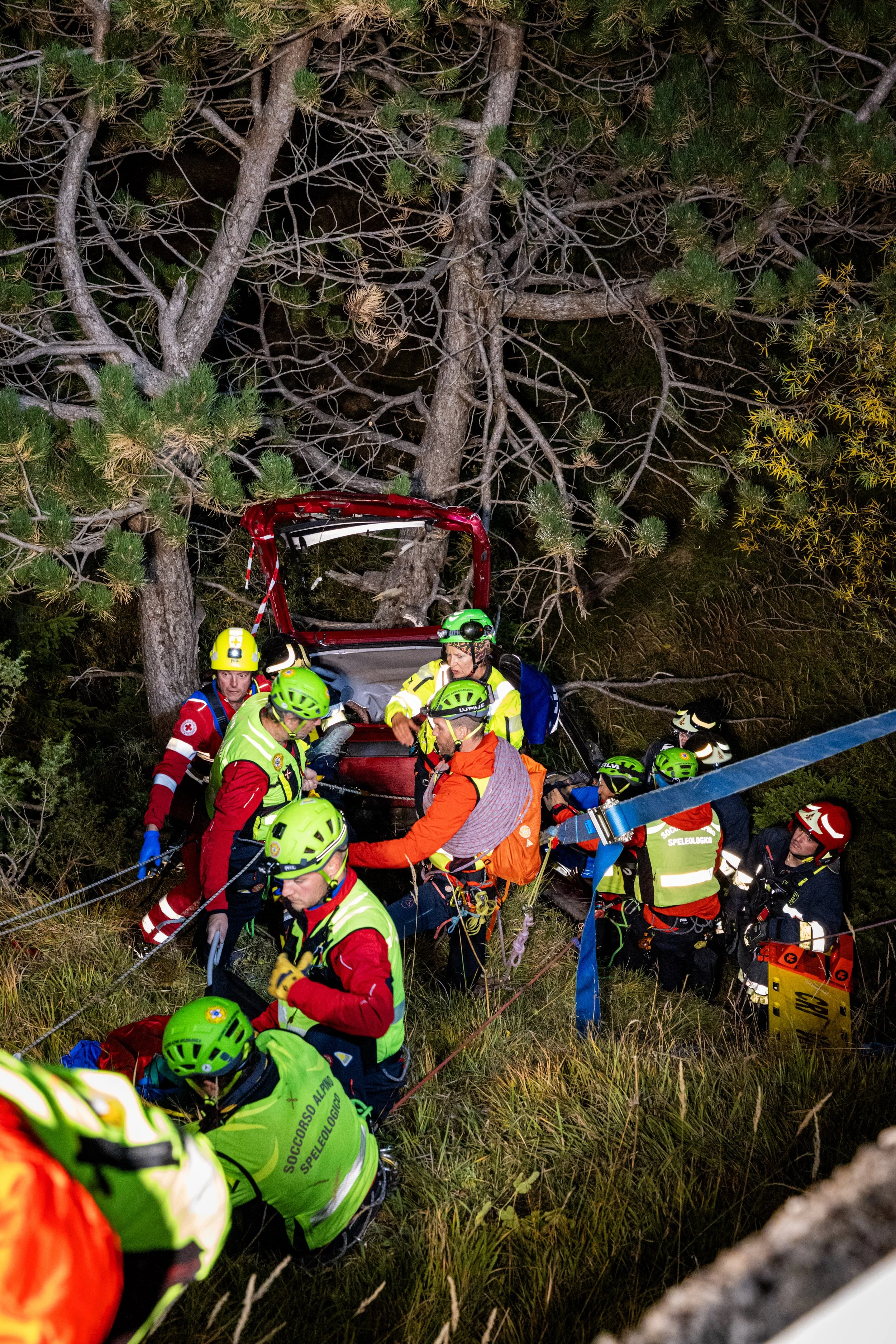Rescue team working at night in a forested area near fallen tree, wearing helmets and safety gear, with rescue equipment.